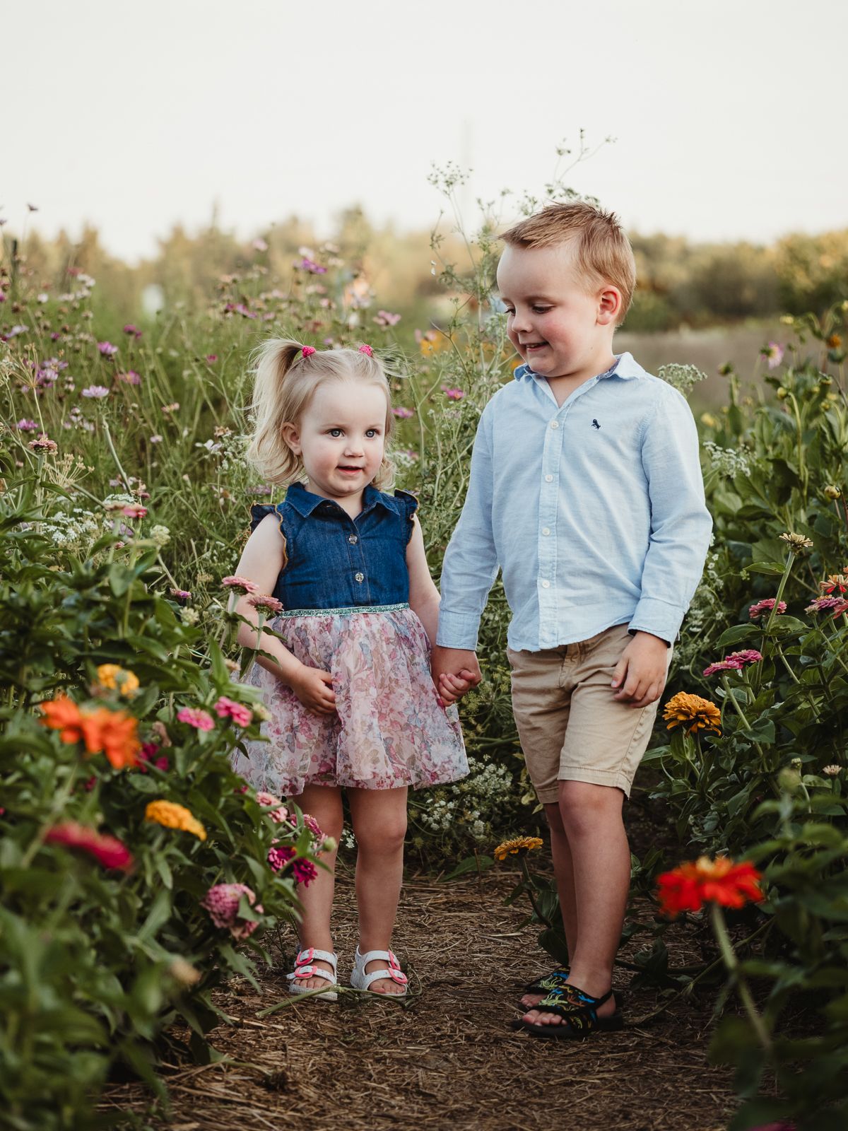 family photography session at Fern's Flower Garden Edmonton
