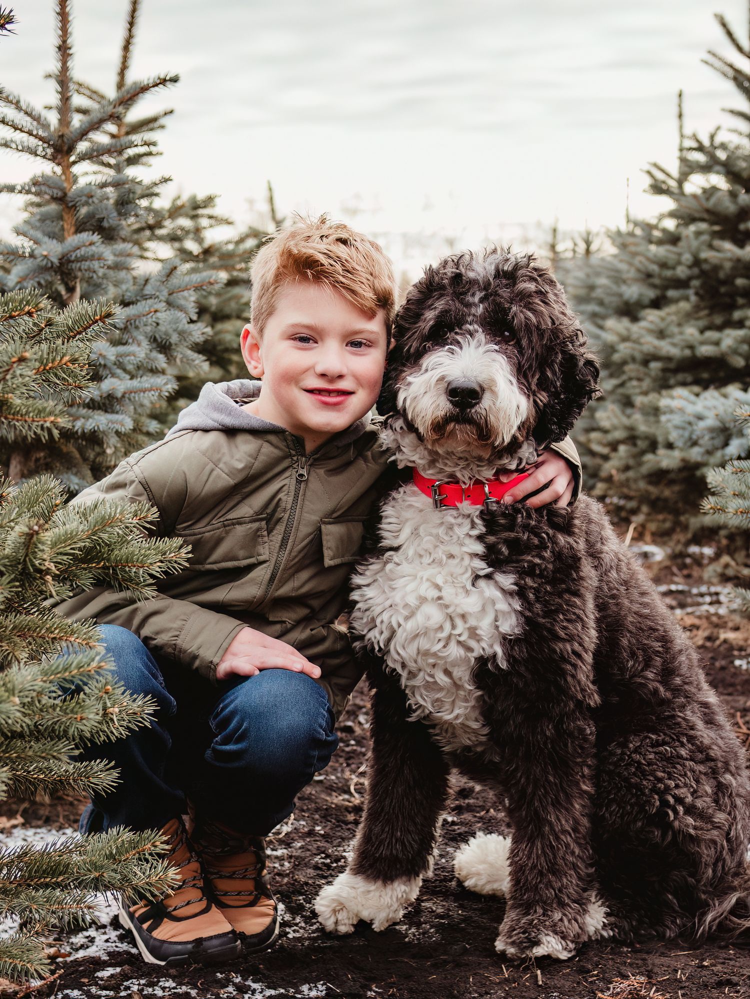 Edmonton area pet photographer capturing dogs, families and boudoir portraits in Stony Plain, Spruce Grove and Parkland County.