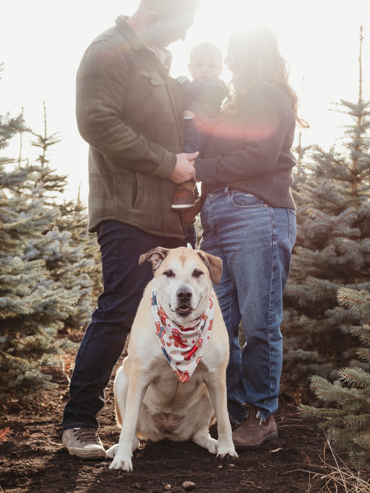 Family photography session at sunset in Spruce Grove, by Spruce Grove Family Photographer.