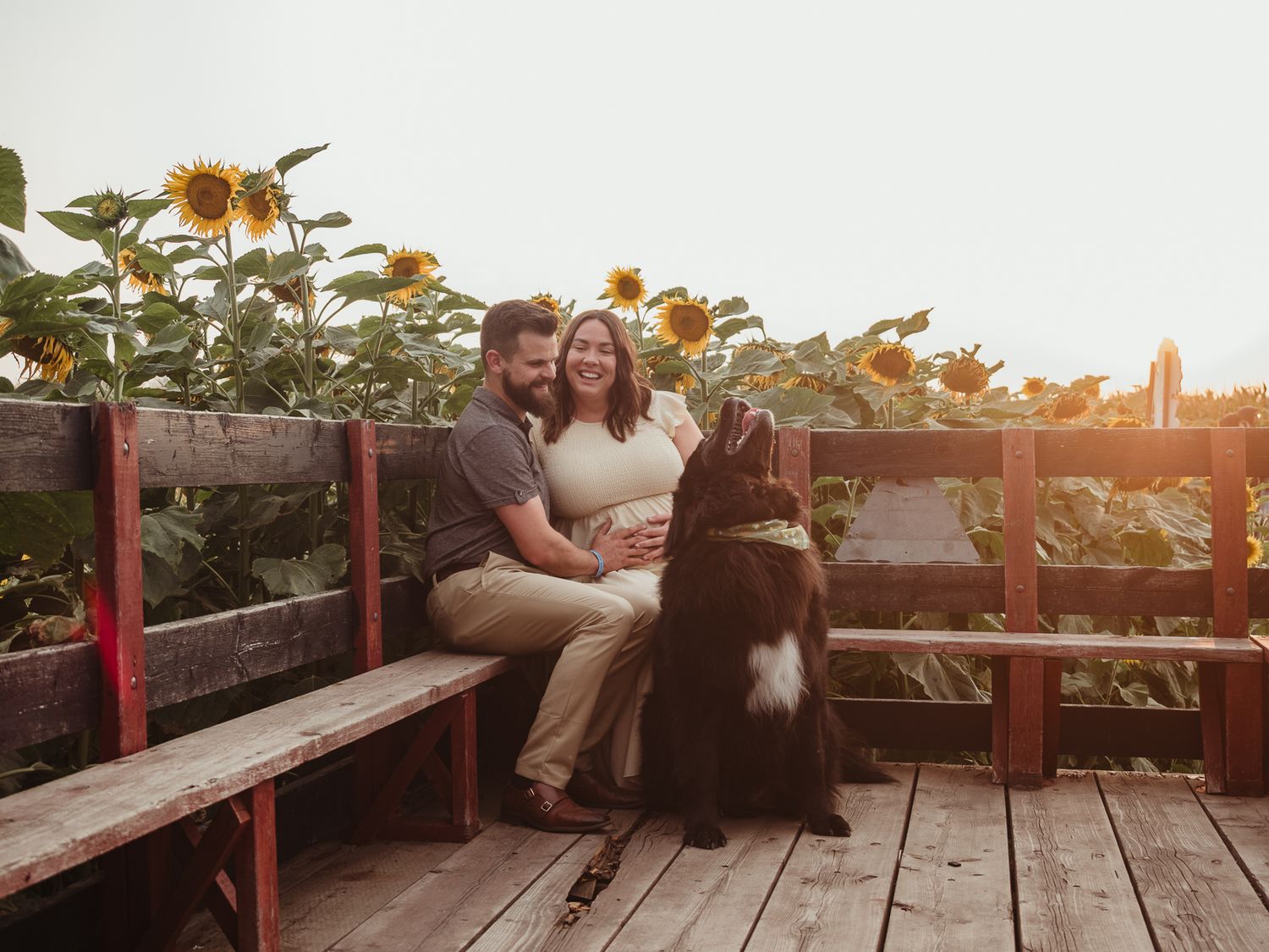 Pet and owner connection captured during a professional photography session in edmonton with Coral Konanz Photography