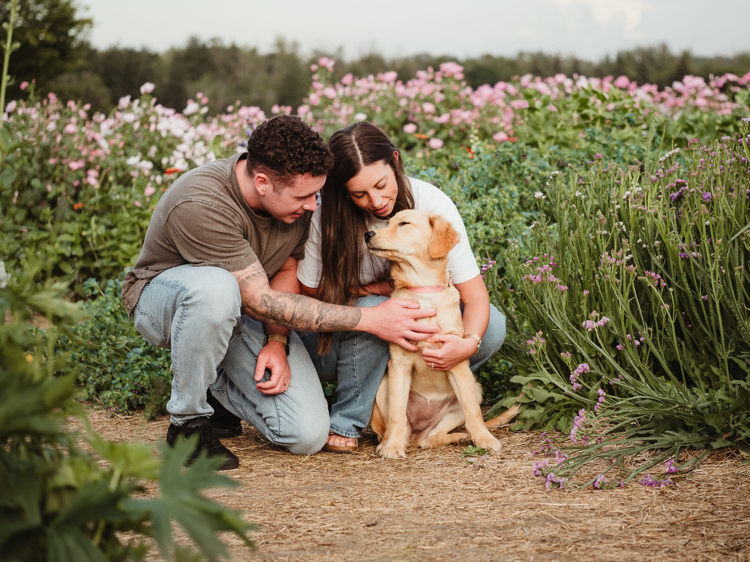 Edmonton pet photographer dog photography Stony Plain Spruce Grove Parkland County pet portraits studio outdoor sessions