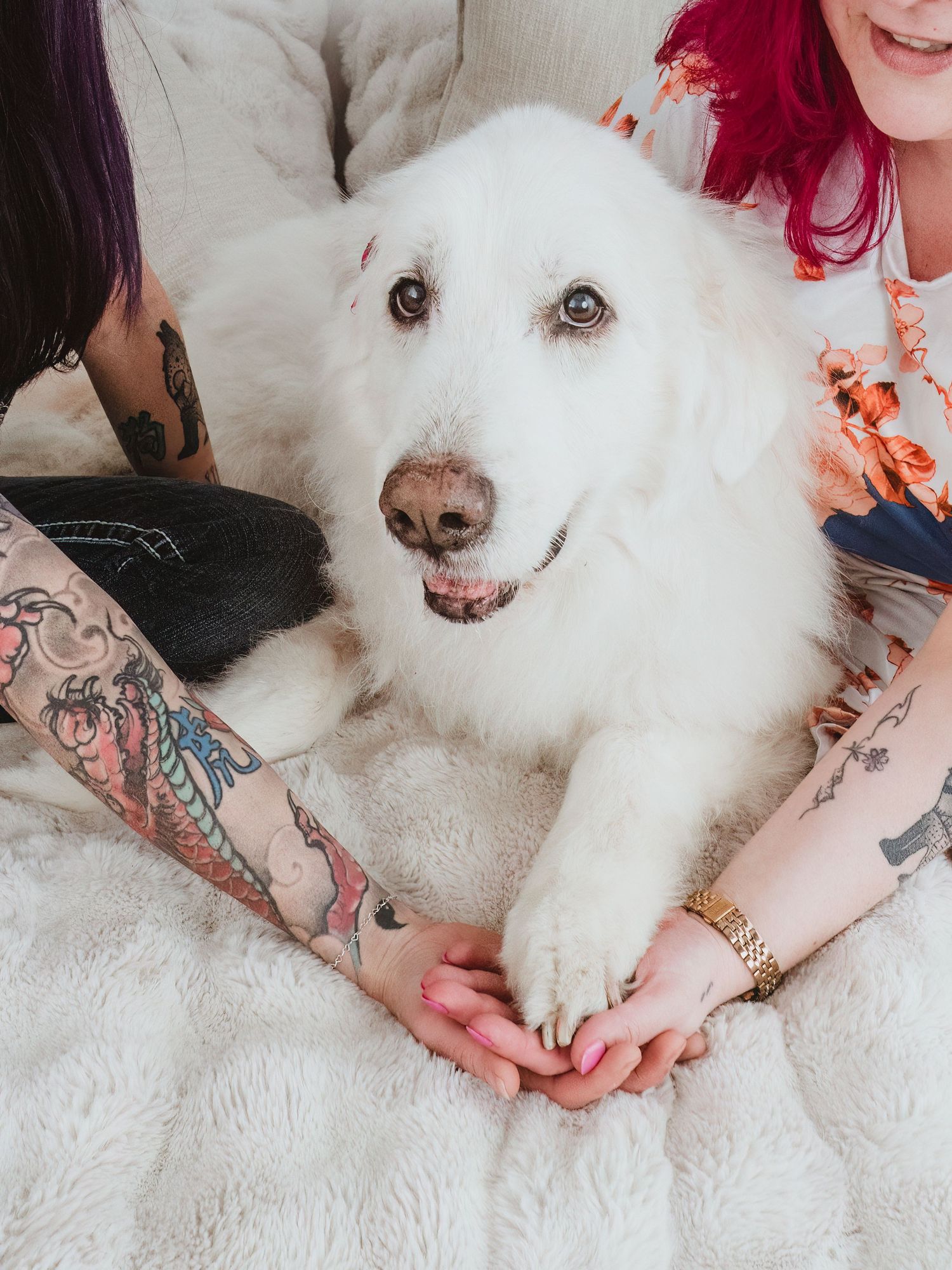 Rainbow Bridge portrait celebrating a lifetime of memories by Spruce Grove pet photographer coral konanz