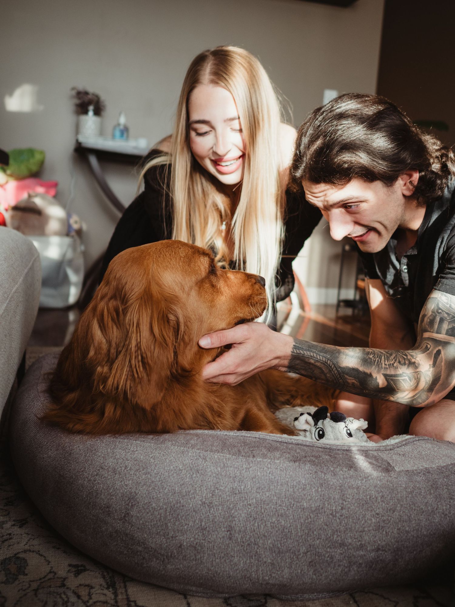 Rainbow Bridge portrait celebrating a lifetime of memories by Spruce Grove pet photographer coral konanz