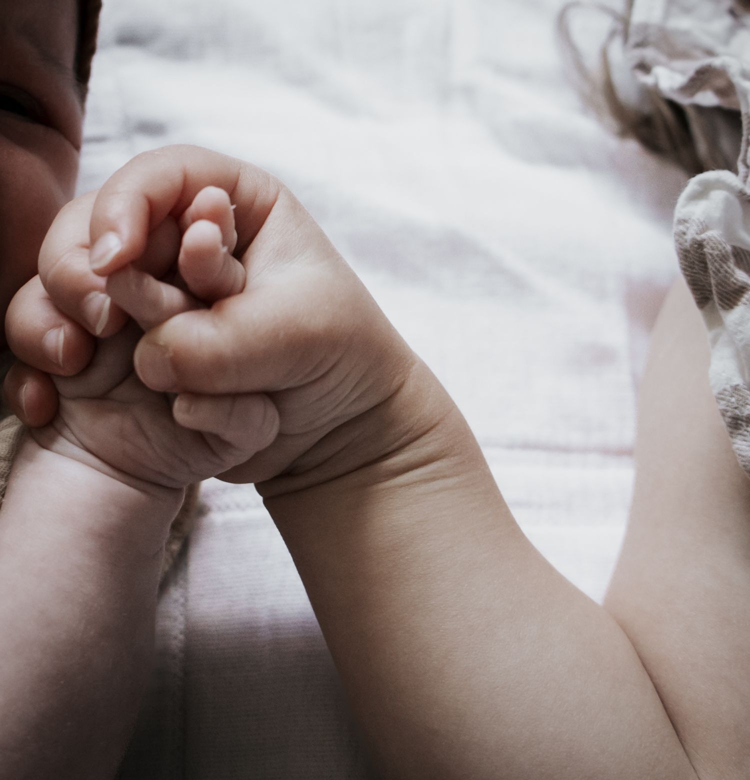 Close-up of older siblings small hand gently holding newborn babys tiny fist on white blanket.