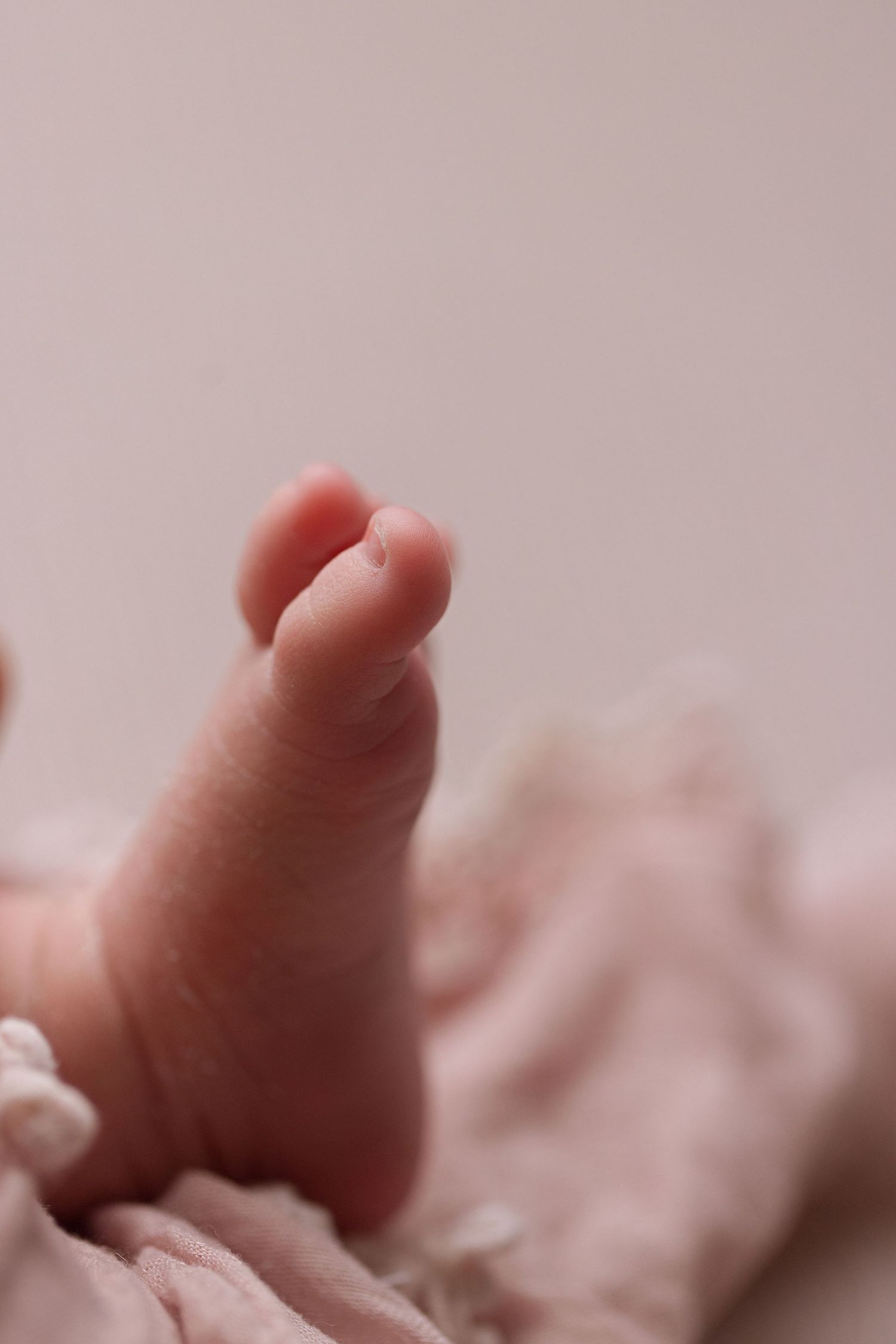 Close-up view of tiny baby toes in soft pink lighting creating a tender and gentle atmosphere.
