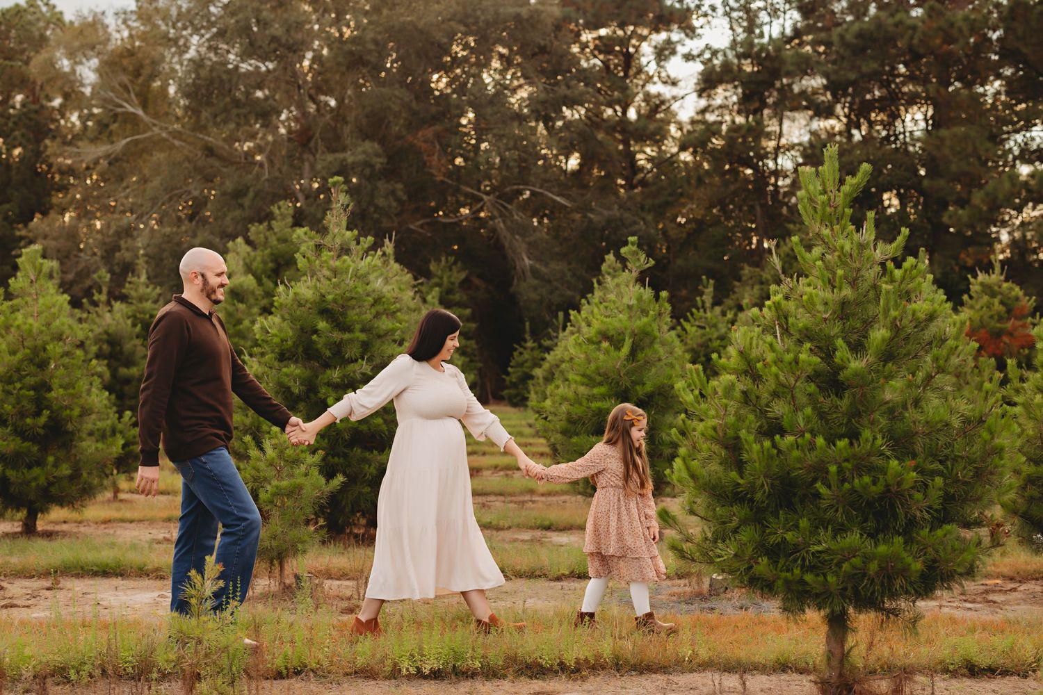 A family holds hands while walking through a Christmas tree farm at sunset.