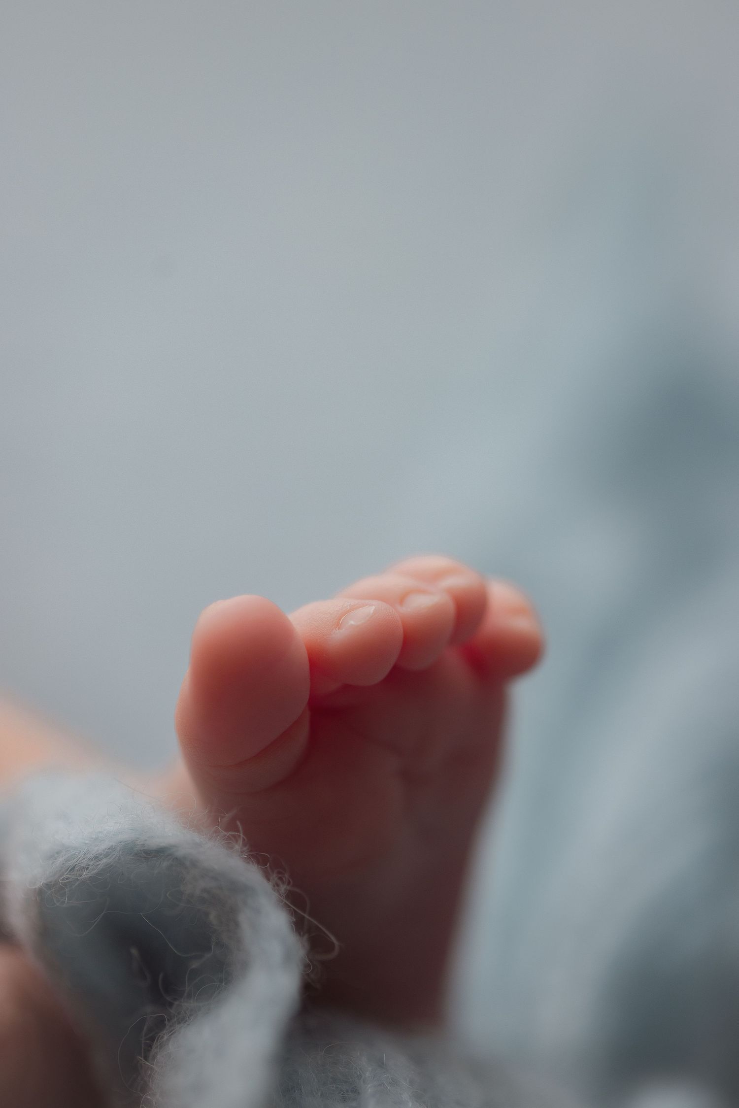 Artistic close-up of newborn baby feet with soft focus and gentle lighting.