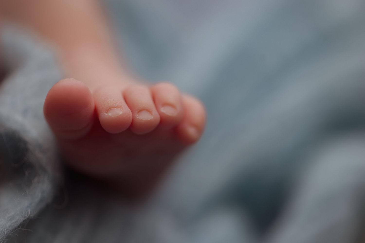 Close-up macro shot of tiny baby toes against blue fabric.