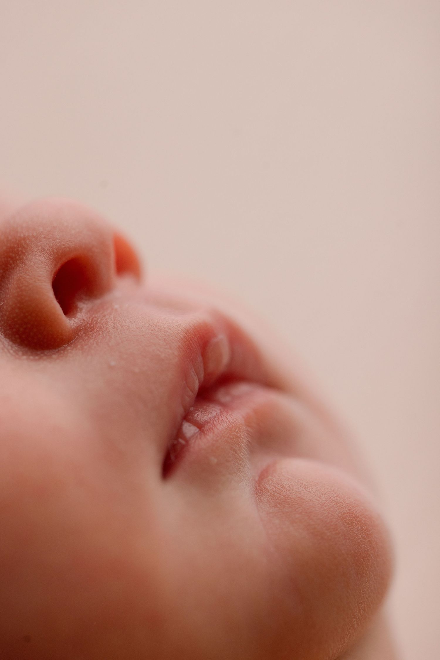 Newborn during session with Bree Elle Photography in Port Neches, TX studio.