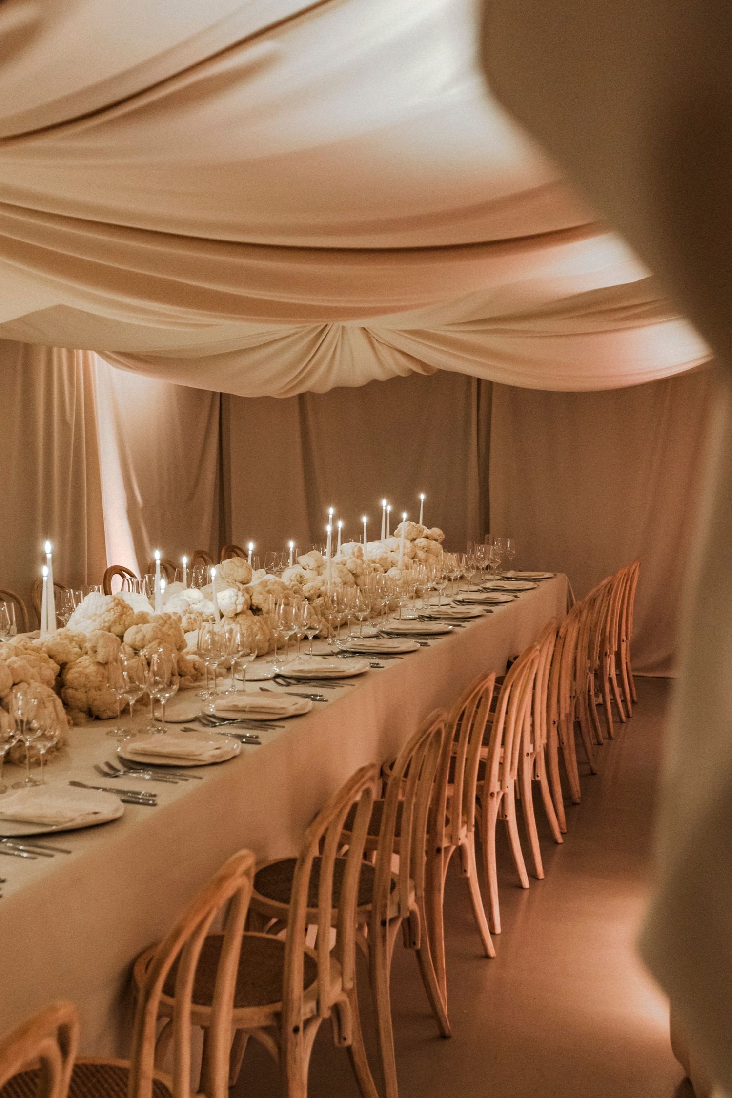 Elegant reception setup with wooden chairs and white floral arrangements along extended dining table.