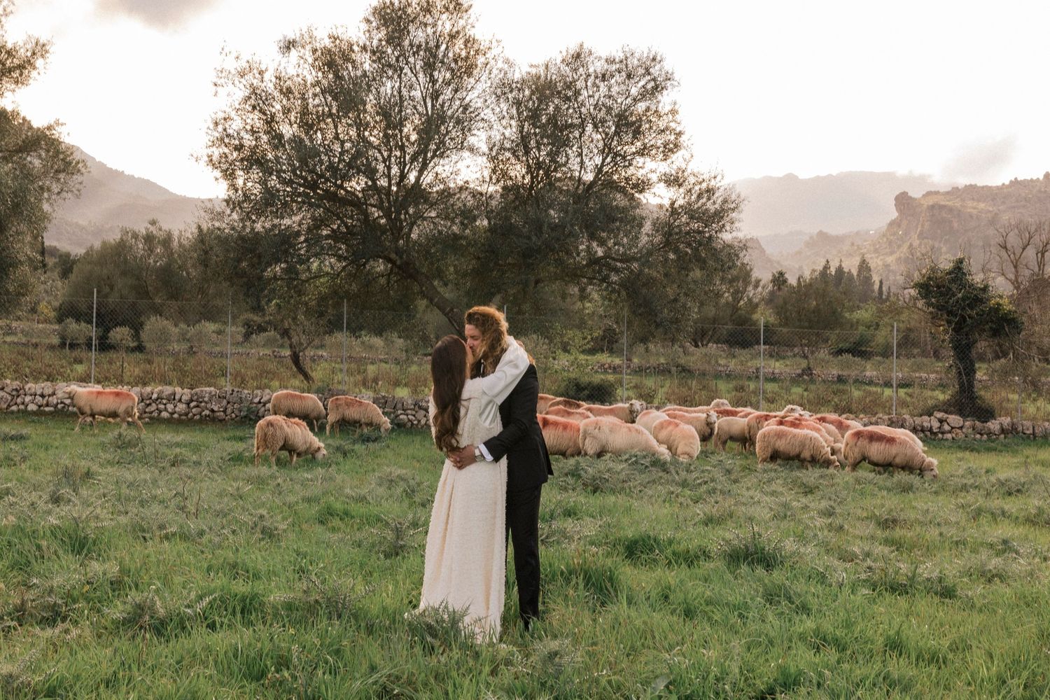 Rolling hills and mountains provide a scenic backdrop for grazing sheep in a pastoral setting.