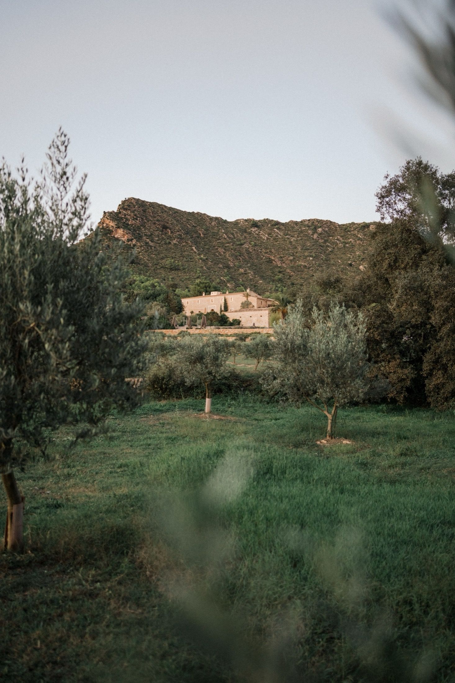 Rustic stone building nestled among olive trees with mountain backdrop in Mediterranean countryside at sunset.