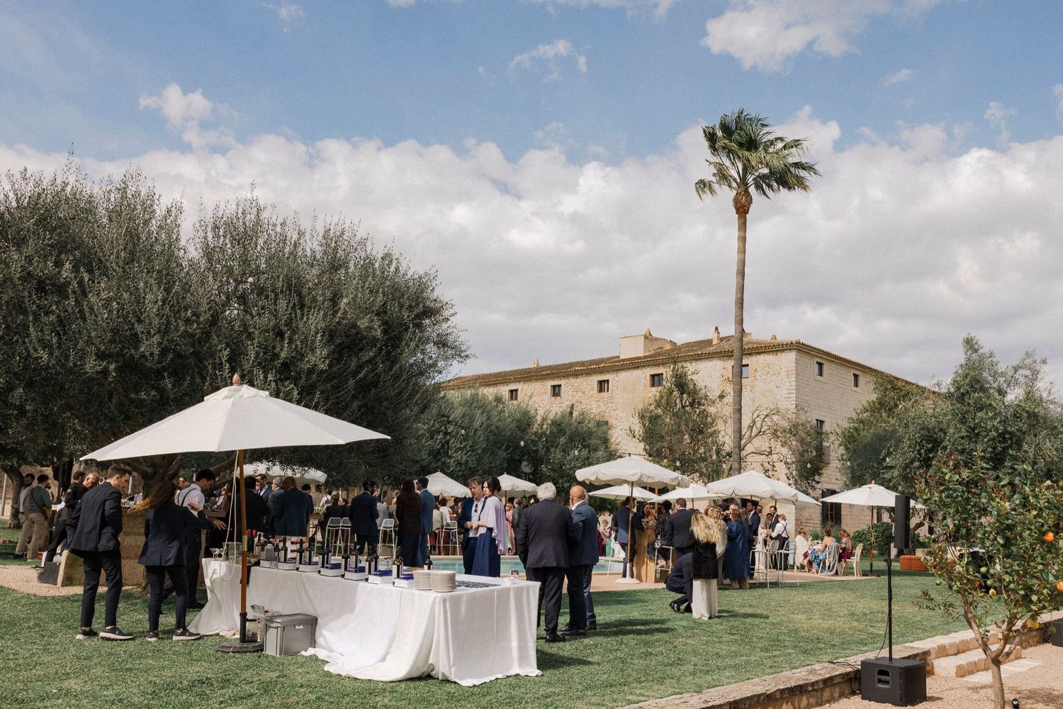 Panoramic view of an outdoor wedding venue setup with white tents and palm trees under a cloudy blue sky.