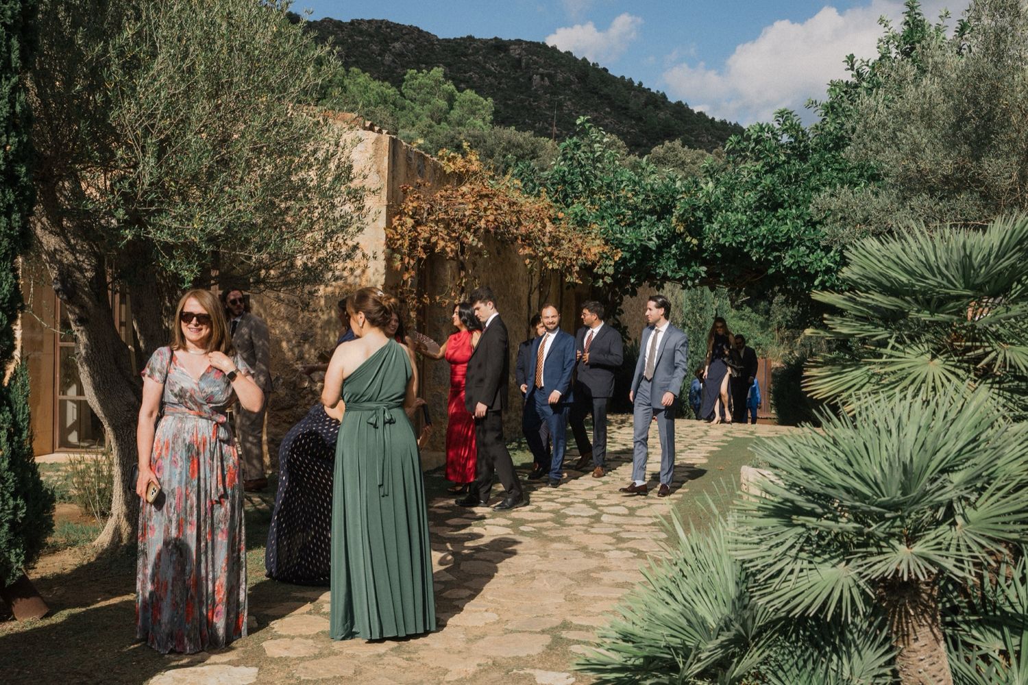 A rustic outdoor wedding venue with mountain views, olive trees and palm plants along a winding path in the countryside.