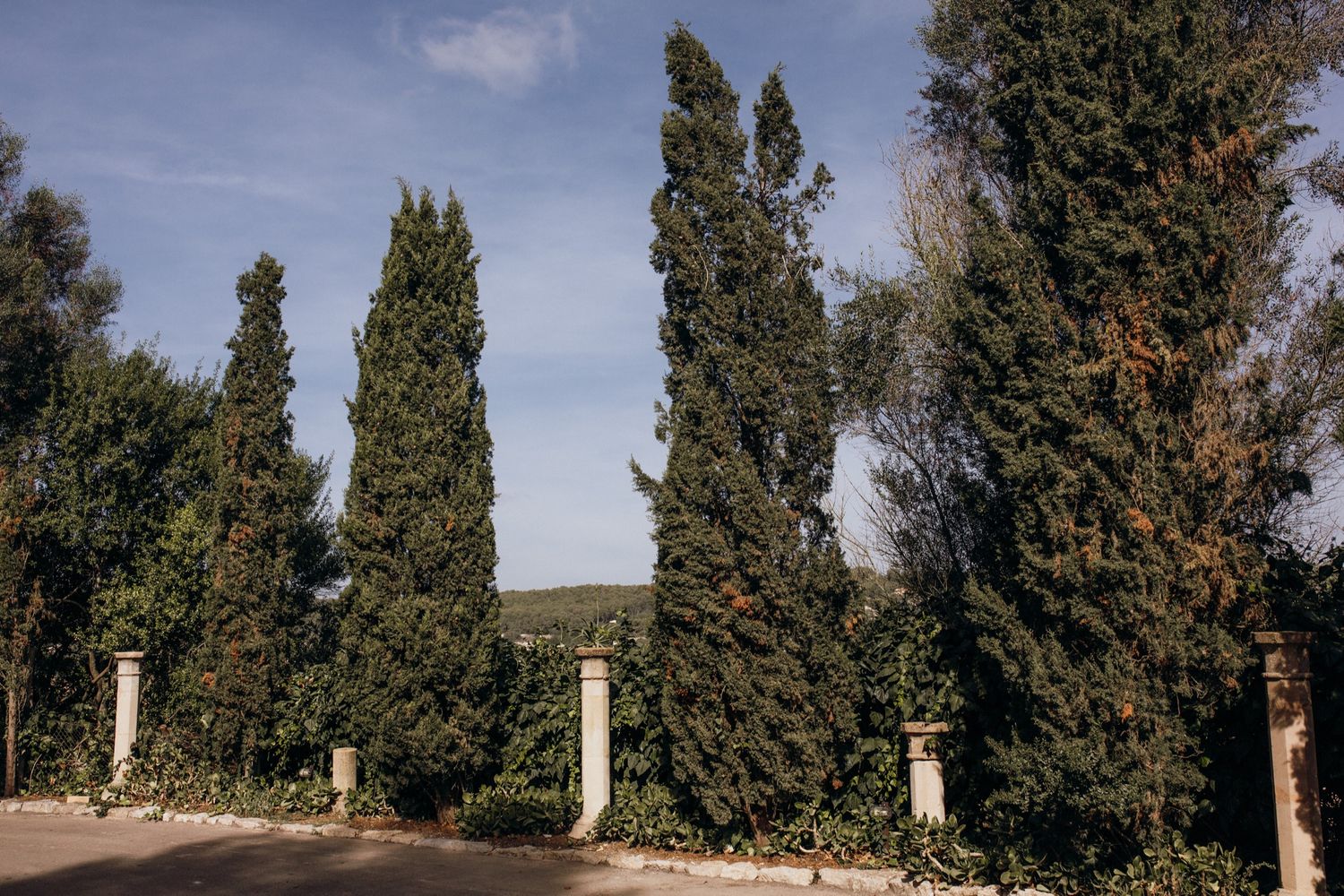 Row of tall cypress trees line a path against a blue sky with wispy clouds.