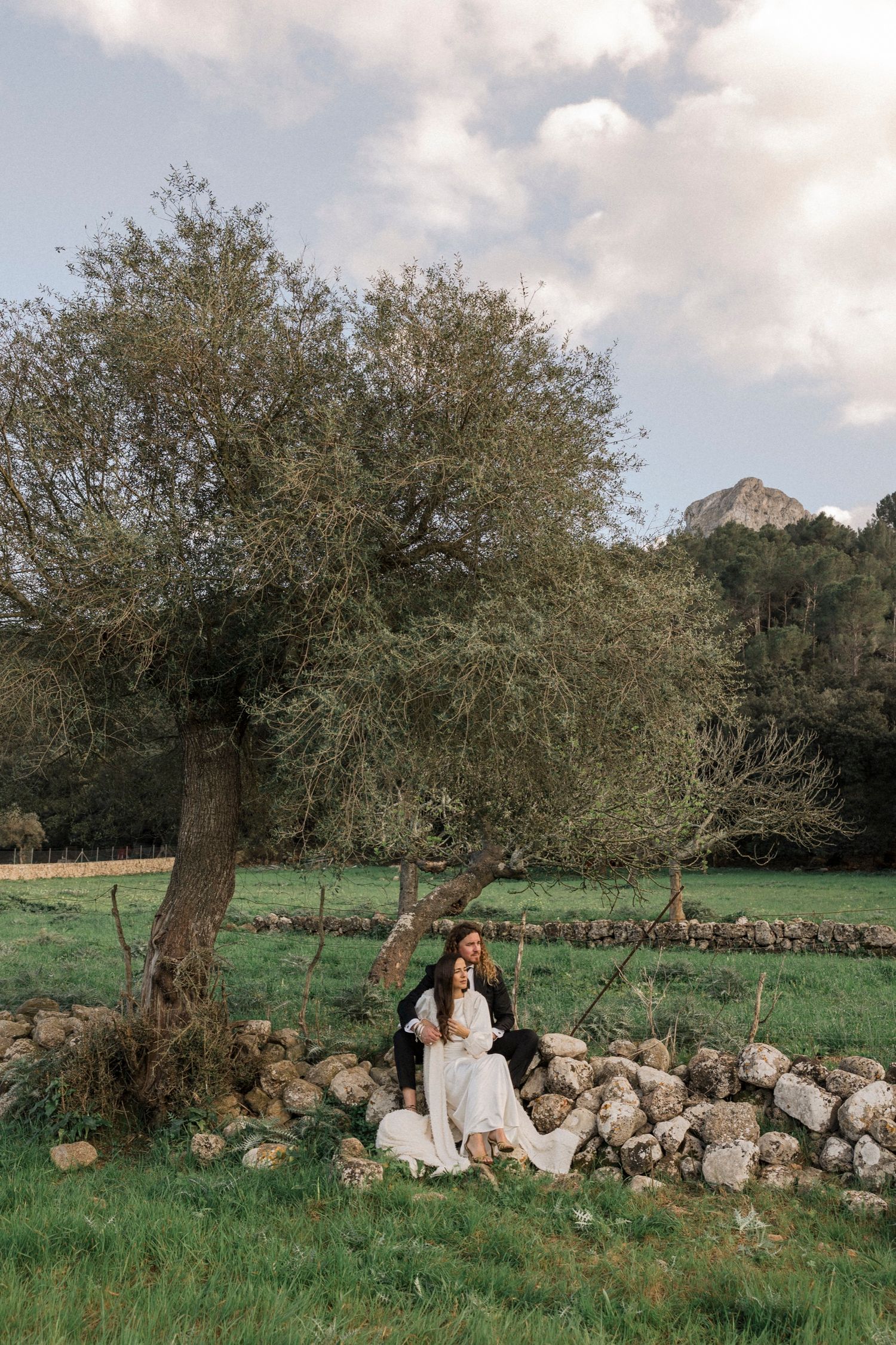 A rustic countryside scene with an old stone wall and olive trees in a green meadow.
