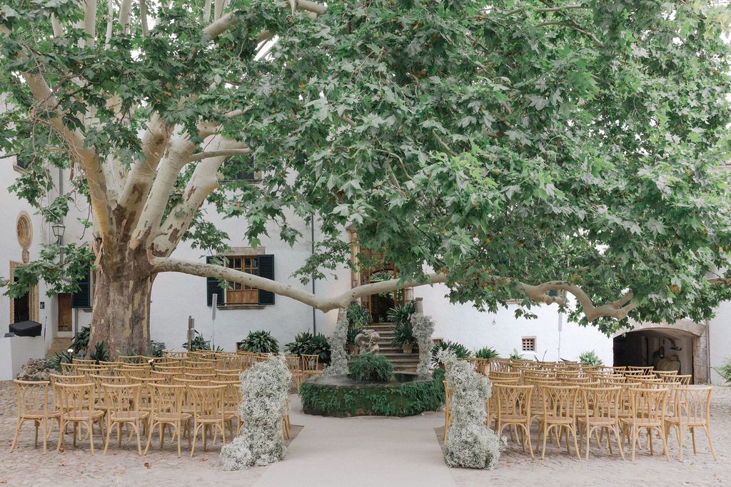 Wooden chairs arranged outdoors under large trees for a wedding ceremony.