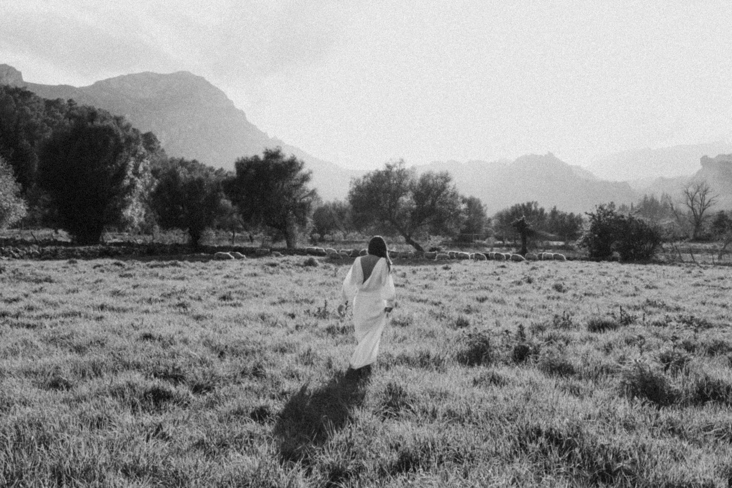 Black and white landscape photograph of mountains and meadows with scattered trees.