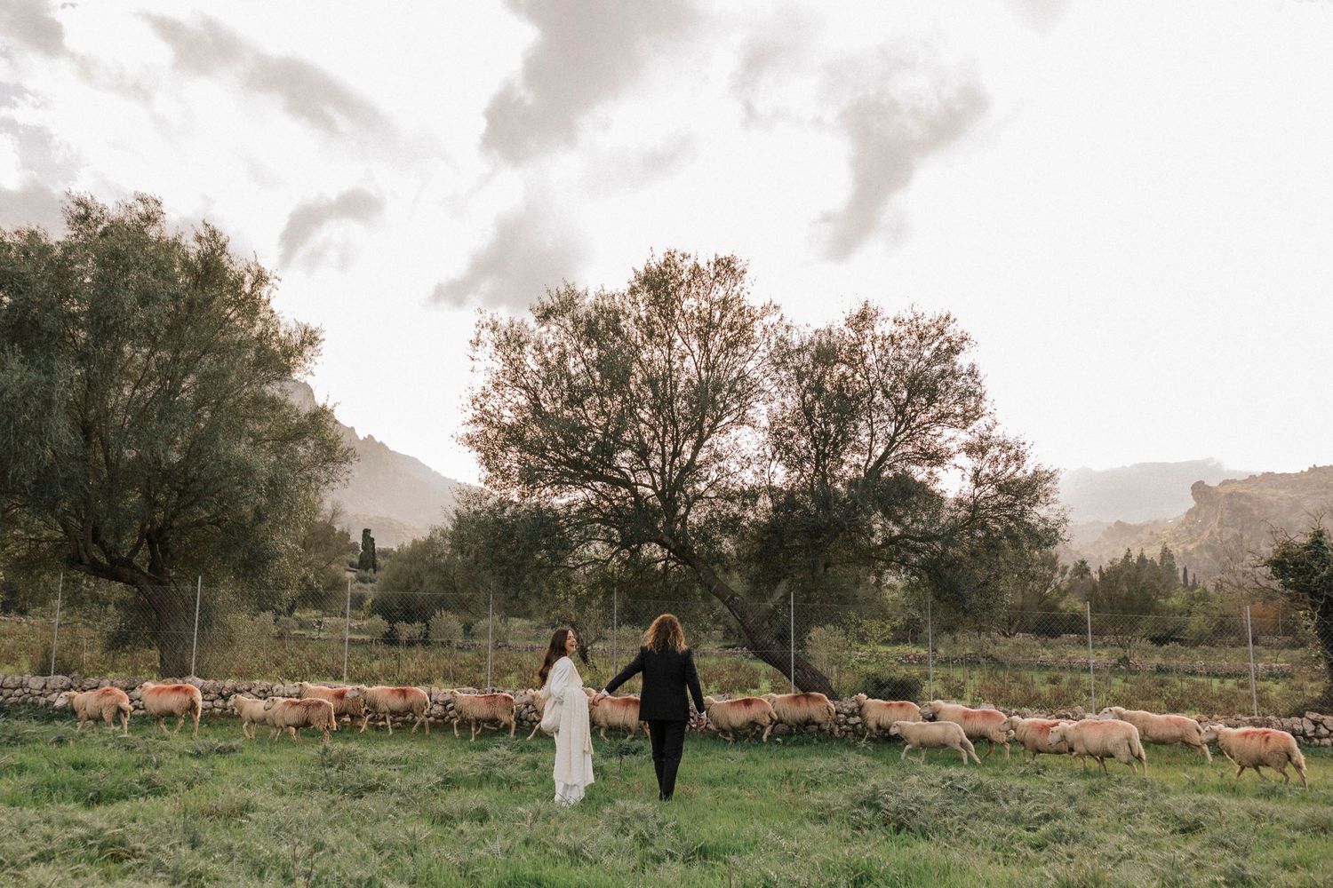 Wide landscape shot of a couple walking through a field with mountains and grazing cattle in the distance.