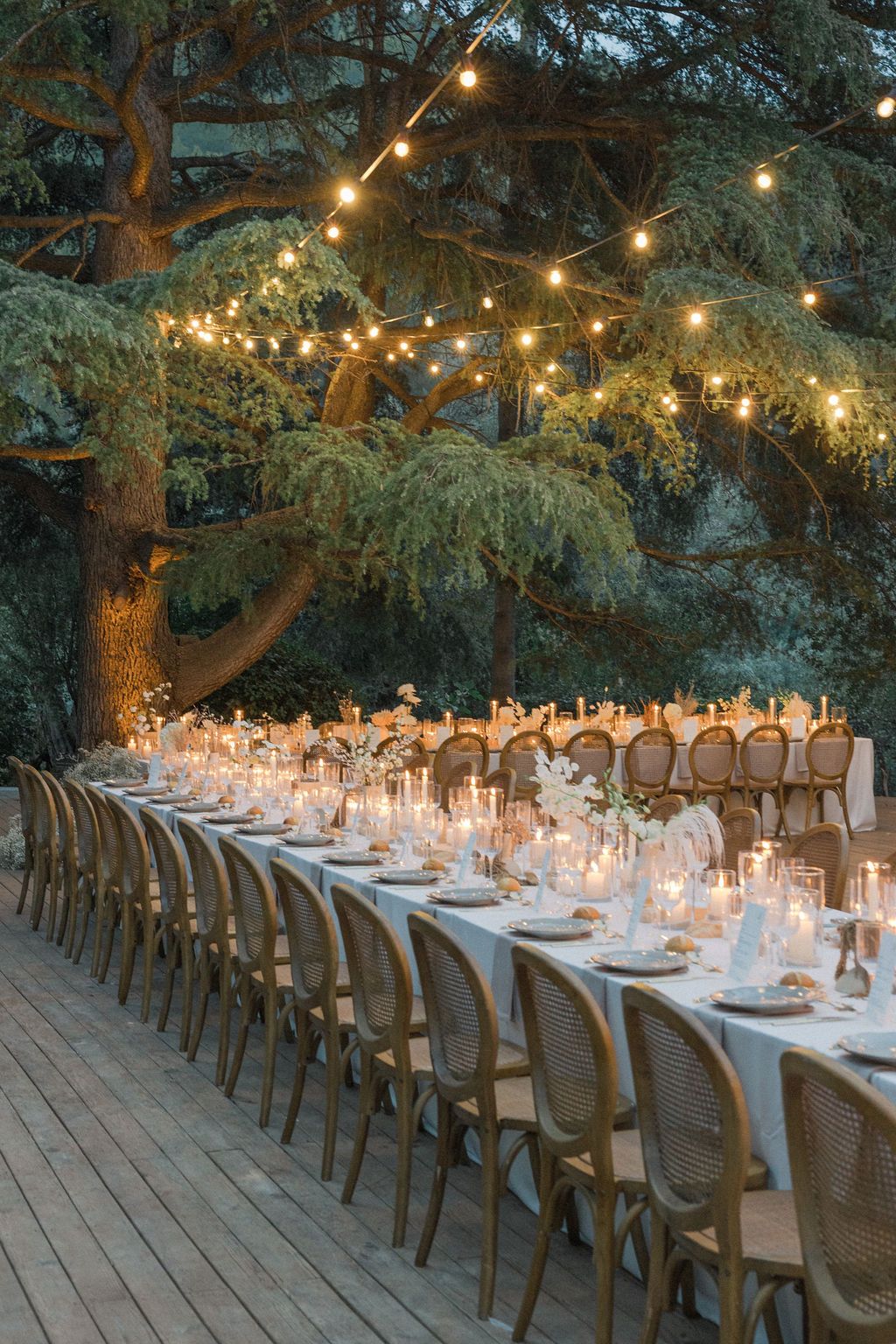 Long elegant dining table set under trees with string lights and white tablecloths for outdoor wedding reception.