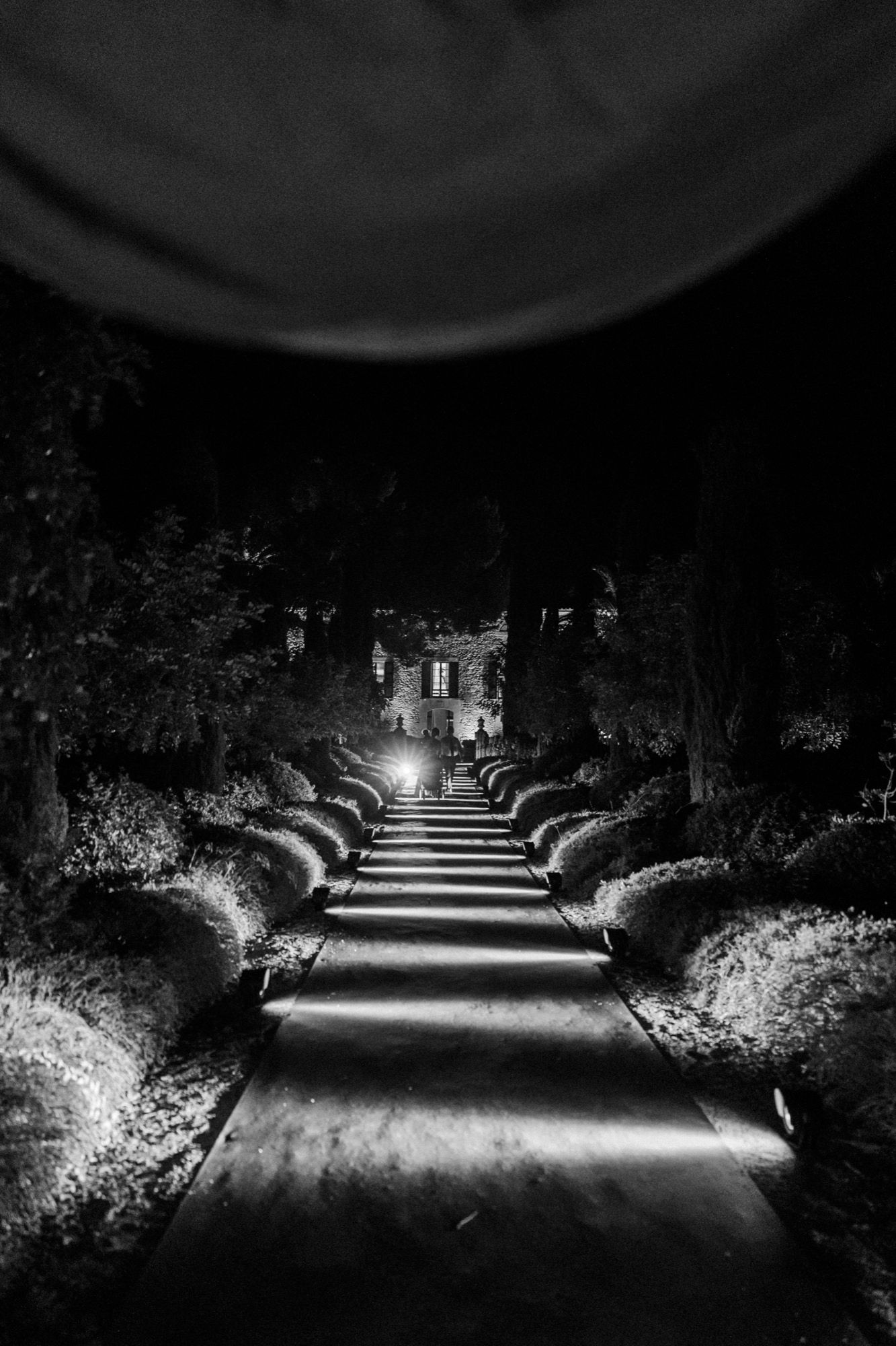Illuminated garden pathway at night with dramatic lighting and shadows.