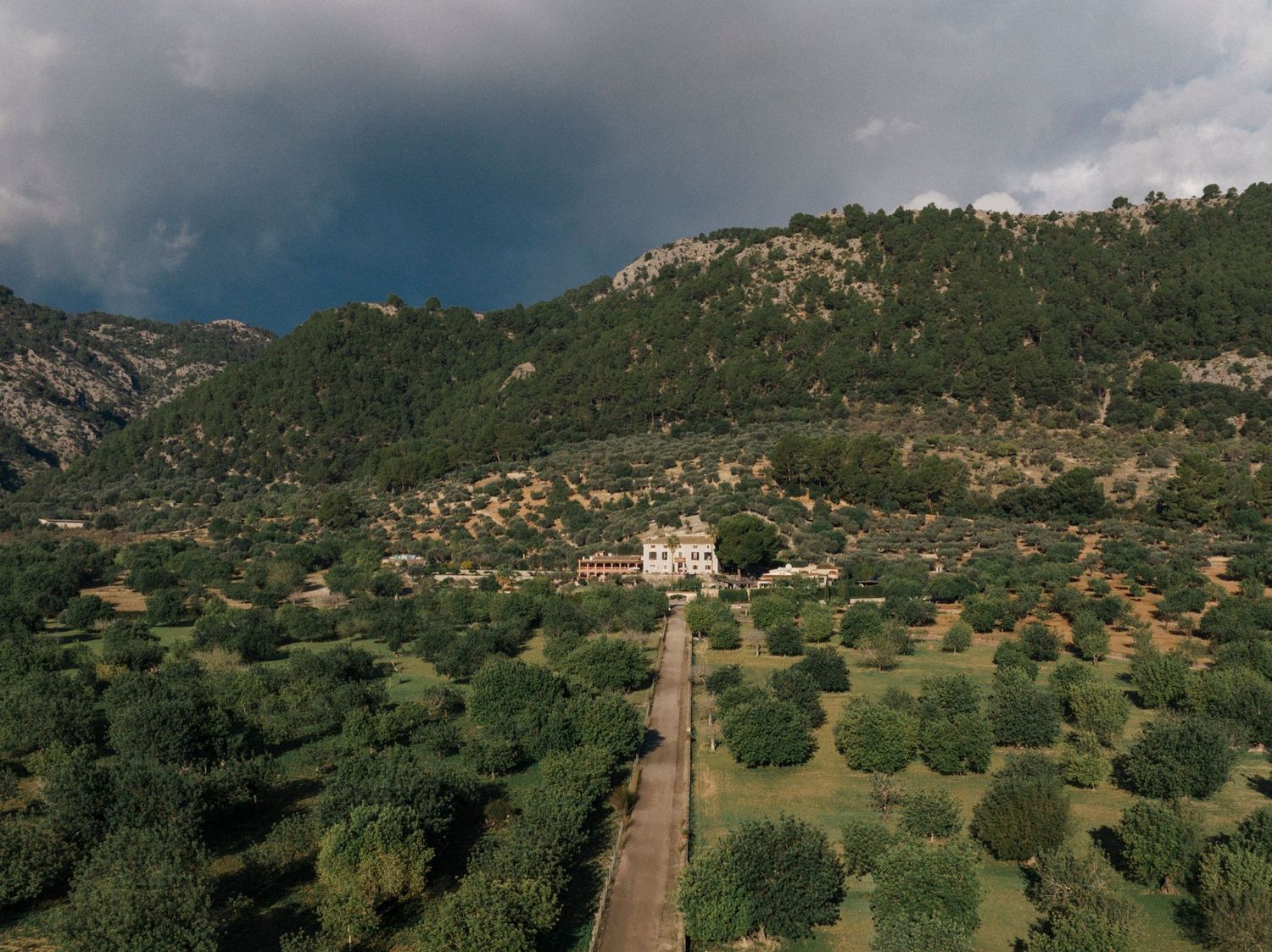 Panoramic view of Mediterranean landscape with olive trees and mountains under cloudy sky.