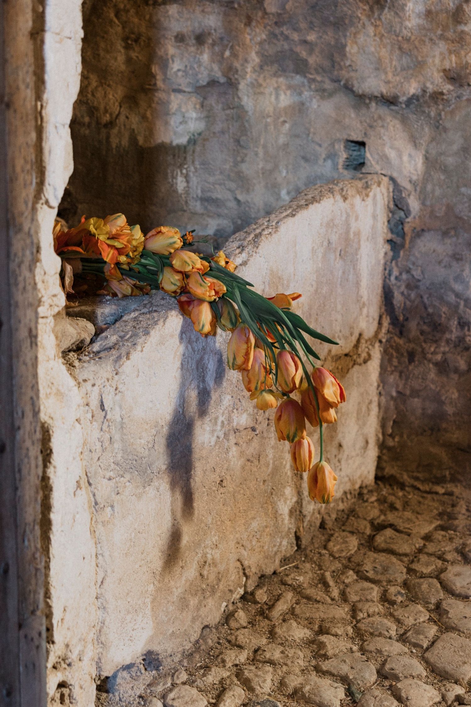 A colorful parrot perches on a stone wall with peeling paint and weathered texture.