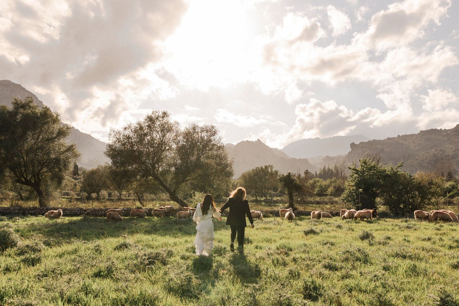 Scenic mountain landscape with green pastures and grazing sheep at sunset.