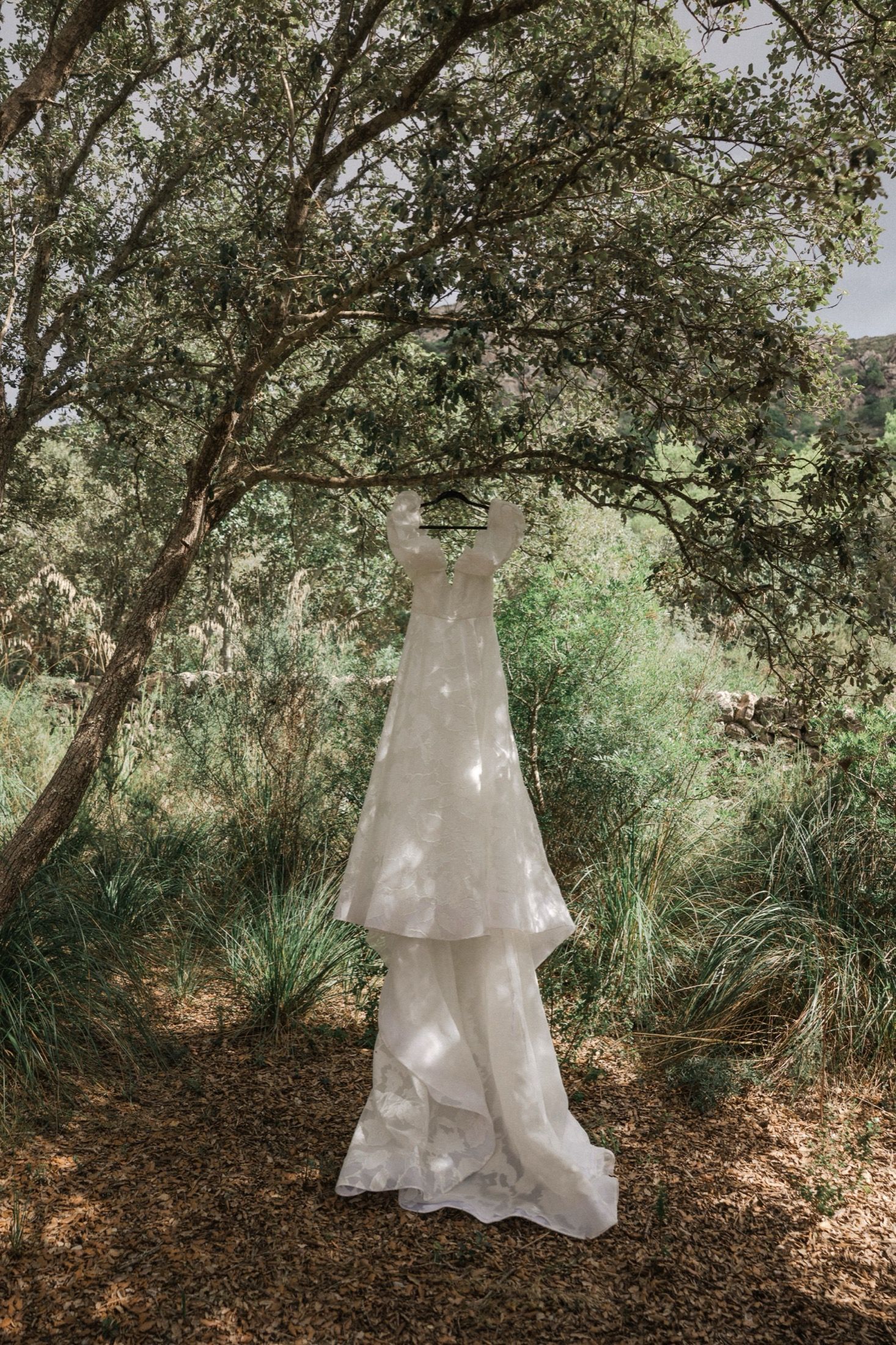 A white wedding dress hangs elegantly from a tree branch in a sunlit garden setting.