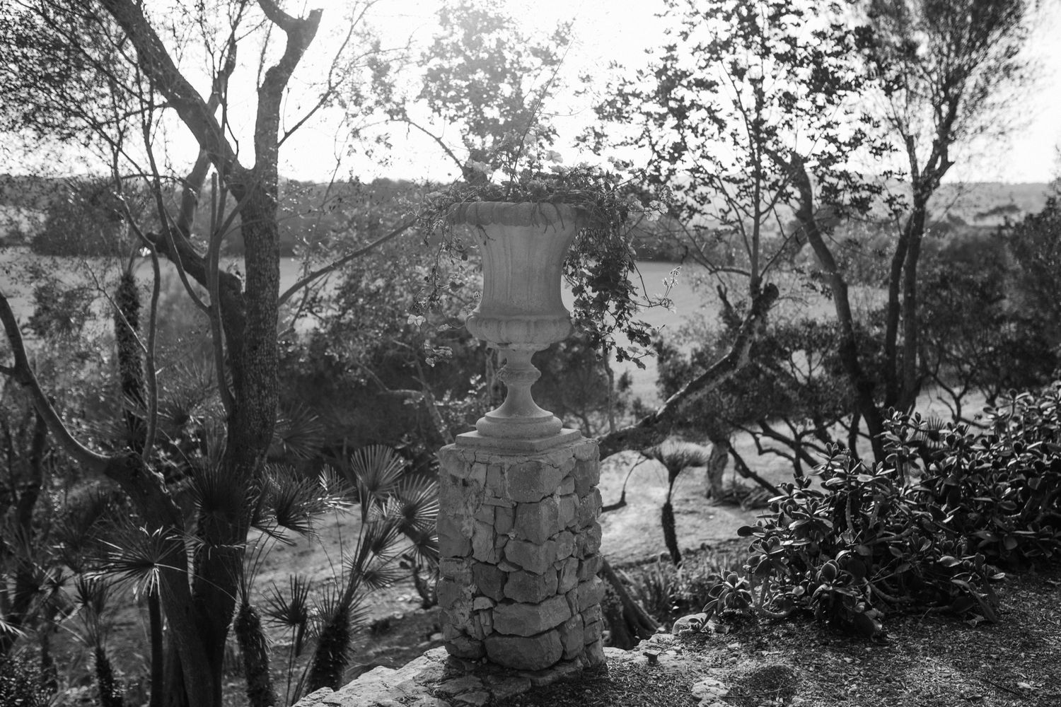 A black and white photograph shows a decorative stone urn on a pedestal overlooking a wooded landscape.