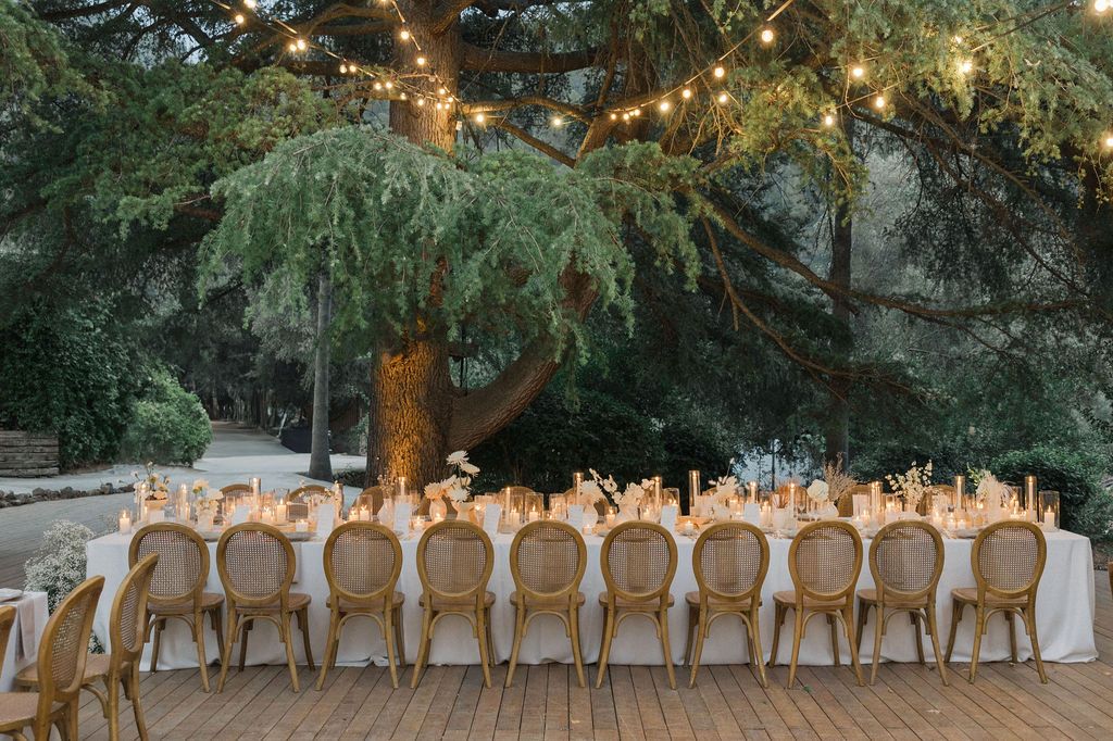 Rustic wooden chairs line an outdoor wedding reception table under evergreen trees.
