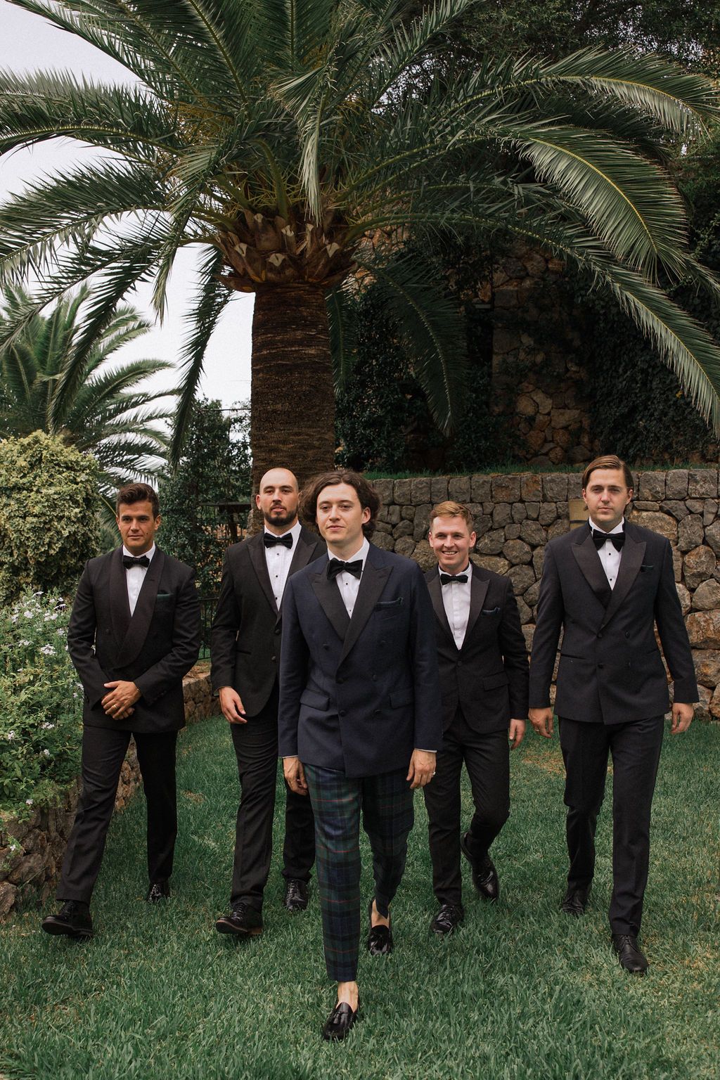 Wedding party in black tuxedos posed beneath palm trees on grassy lawn.