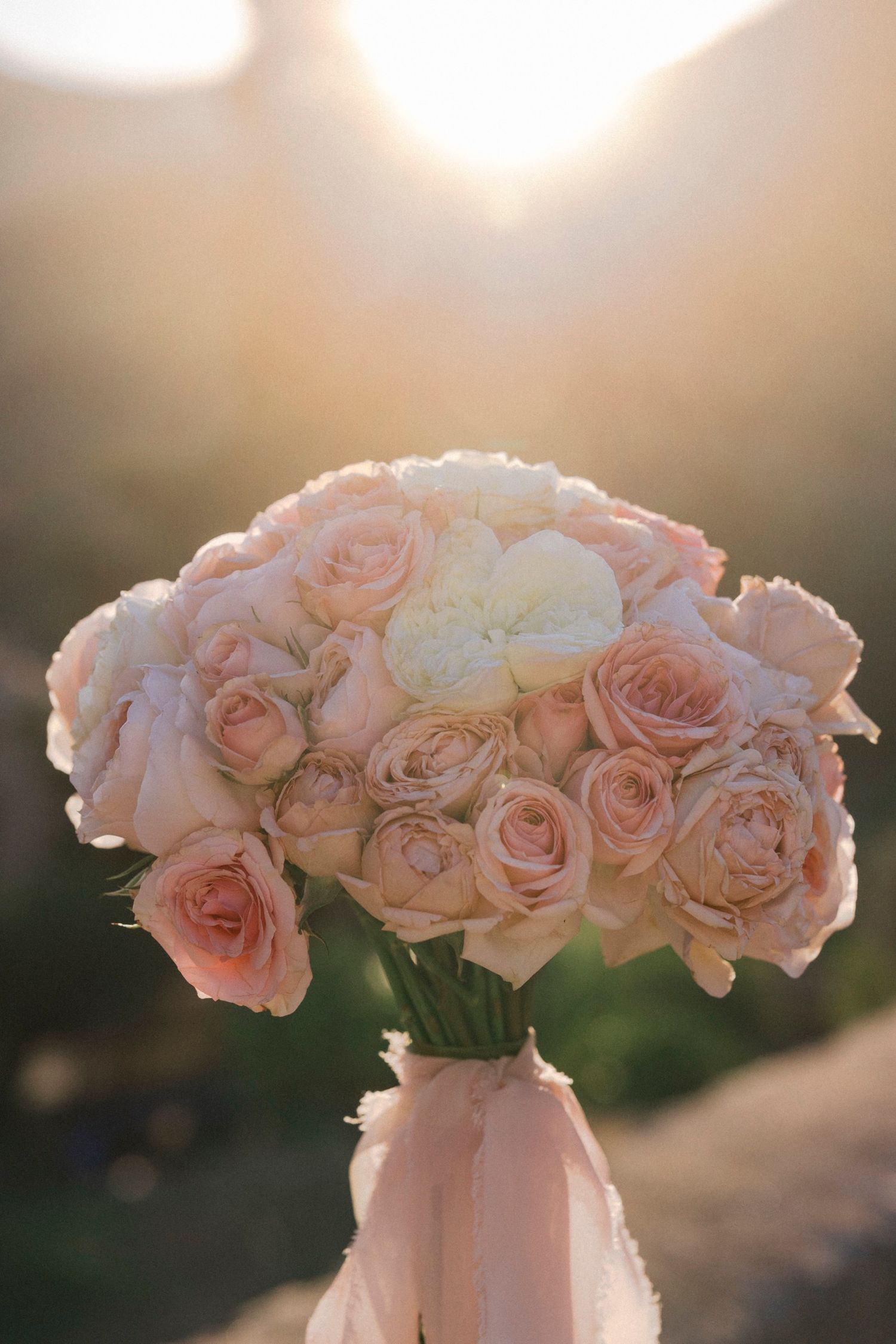 Delicate pink and white roses arranged in a vase at sunset with golden light glowing in the background.