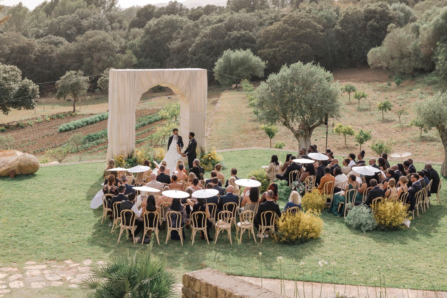 Panoramic view of an outdoor wedding venue with guests seated in wooden chairs among olive trees.