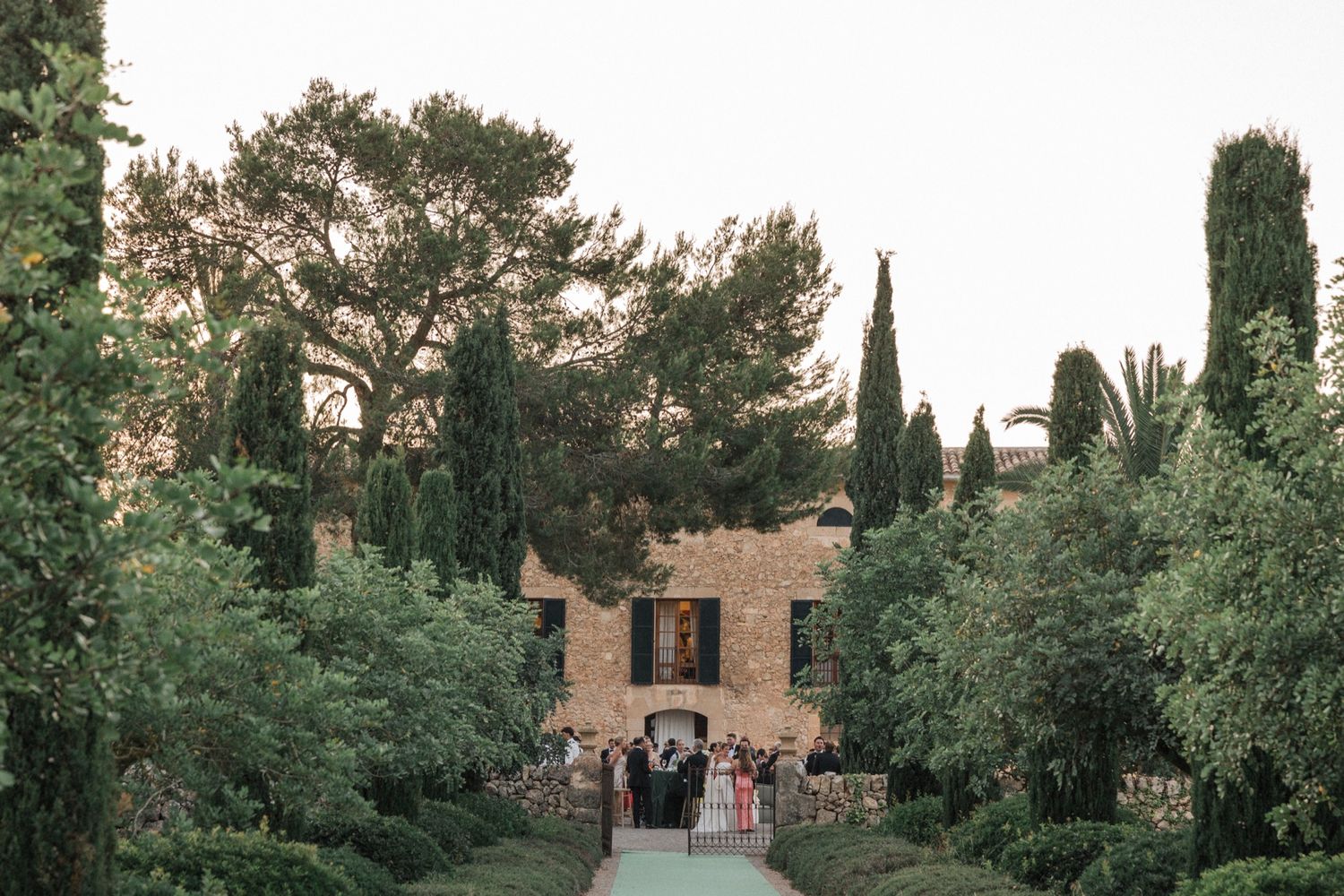 Mediterranean garden setting with cypress trees and stone pathways at dusk.