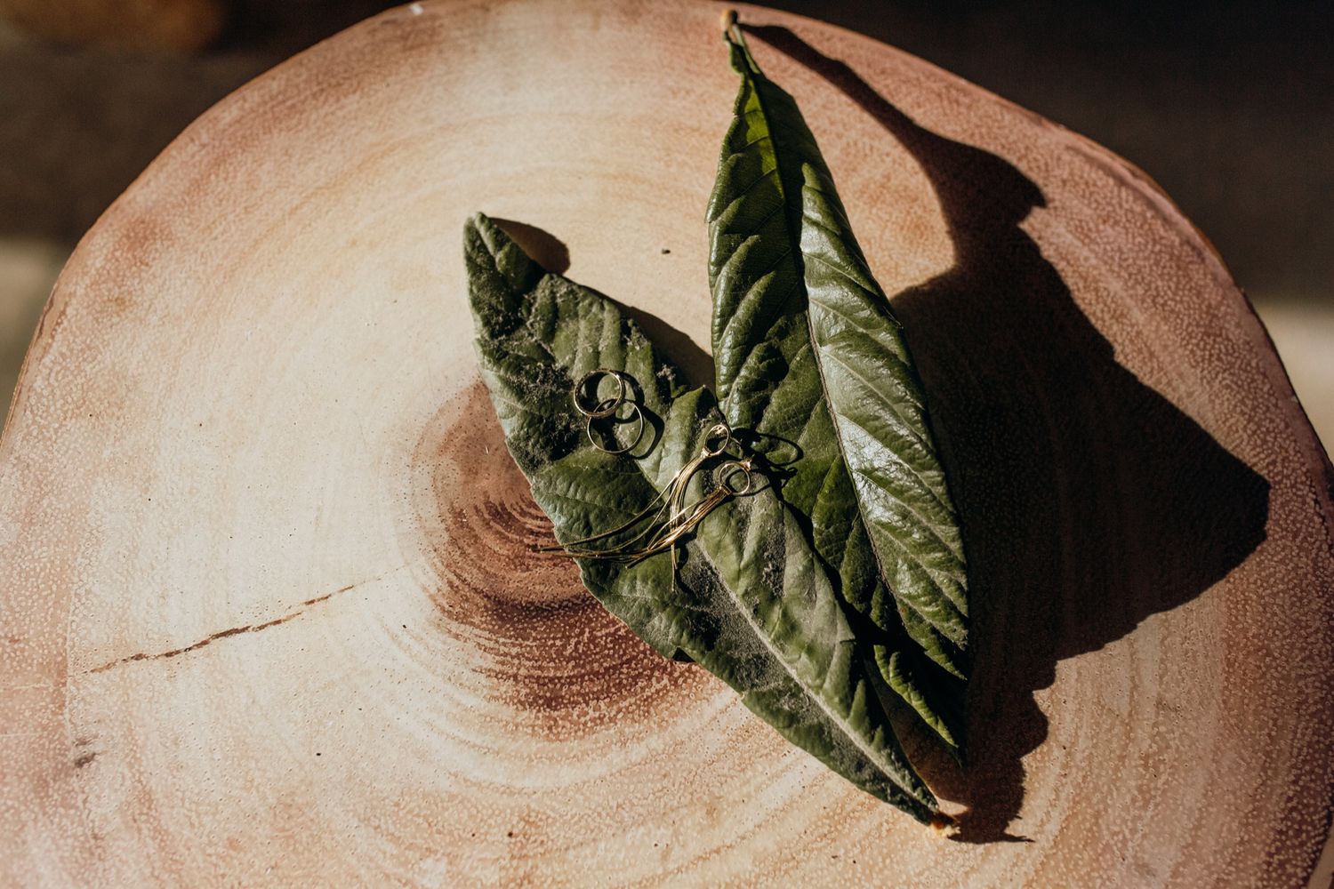 Fresh coffee beans roasting in a traditional wooden bowl with green coffee leaves for decoration.