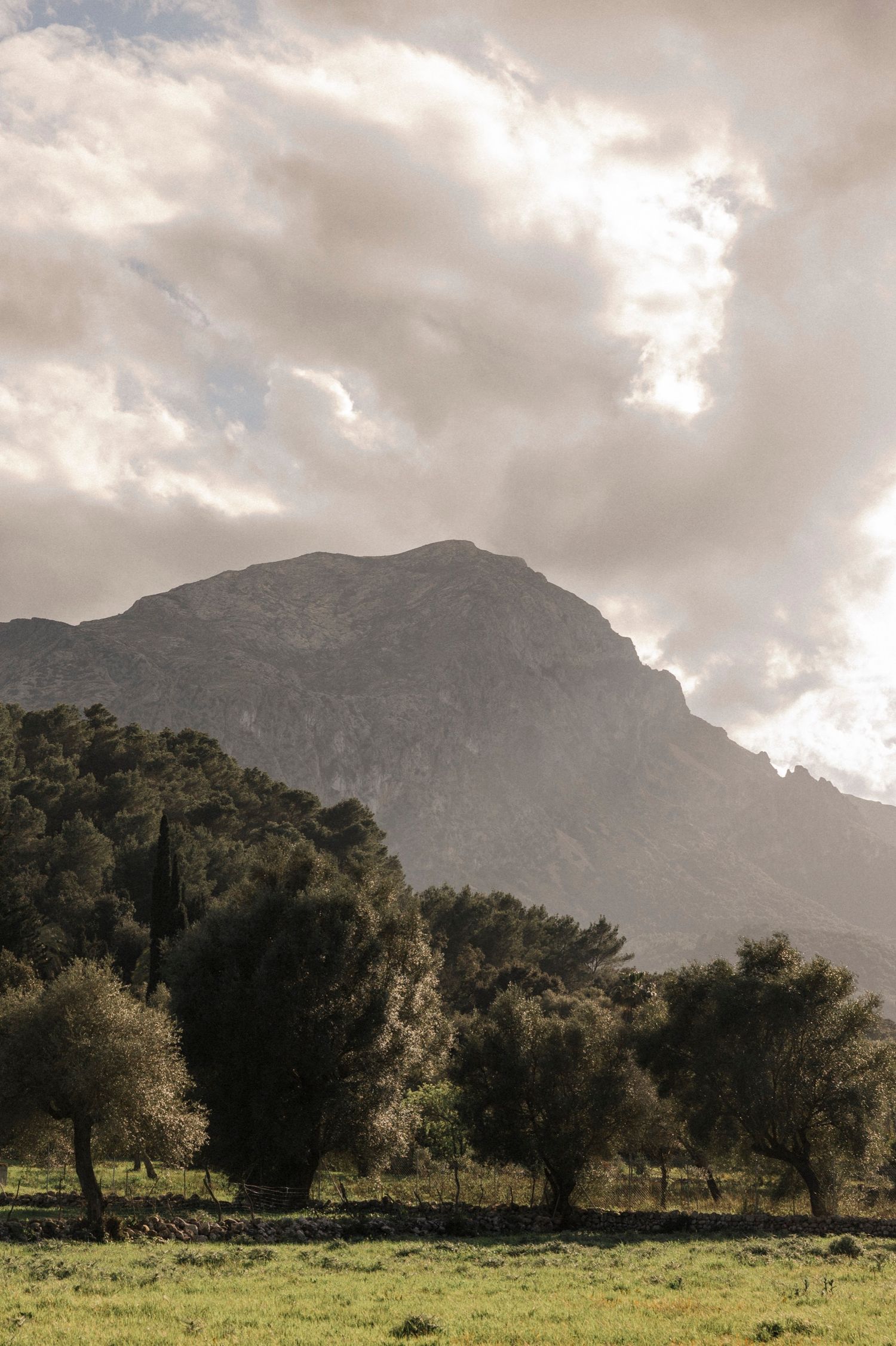 Dramatic mountain landscape with olive trees and green pastures under cloudy skies.
