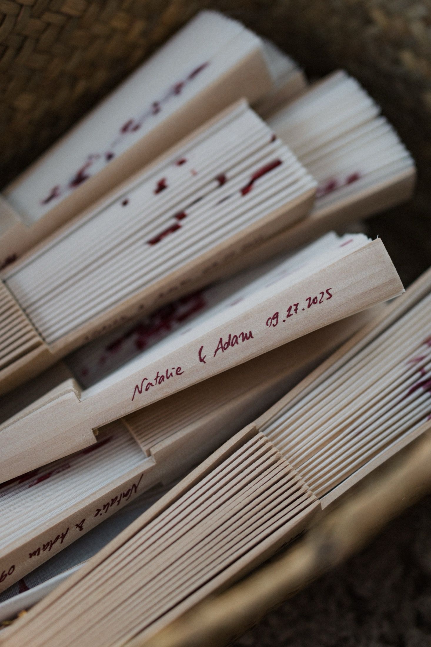 Close-up view of vintage paper documents with handwritten labels and text arranged in a fanned pattern.