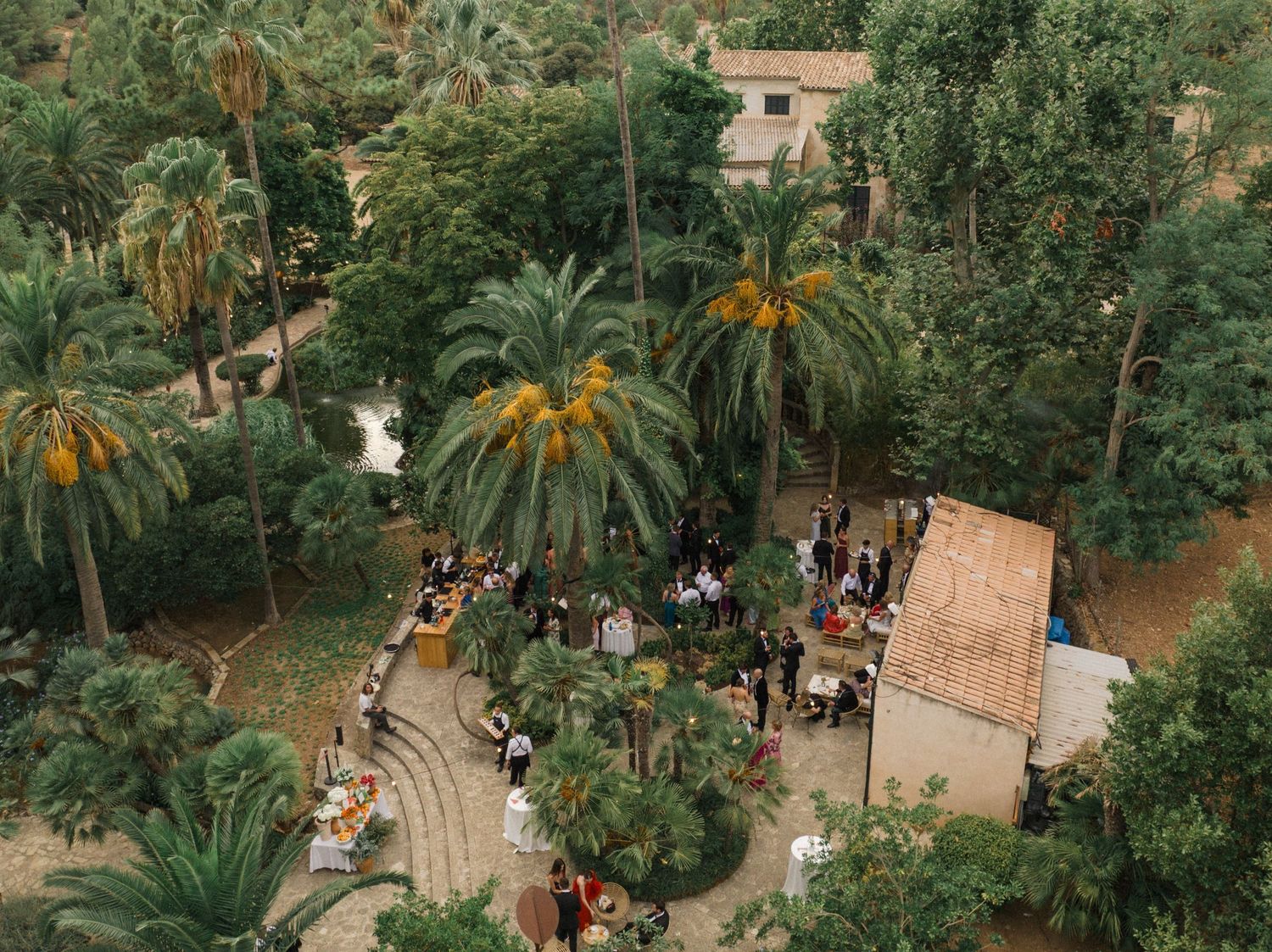 Aerial view of a garden party gathering among palm trees and lush greenery with people mingling on stone pathways.