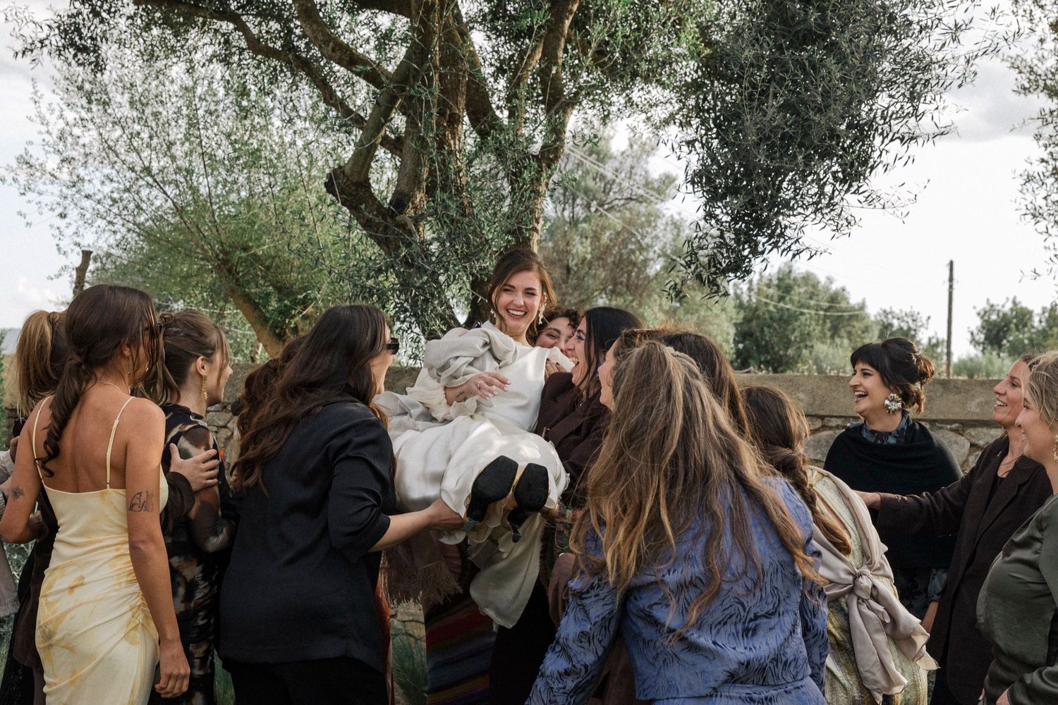A group of people gather around a tree during an outdoor celebration in an olive grove.