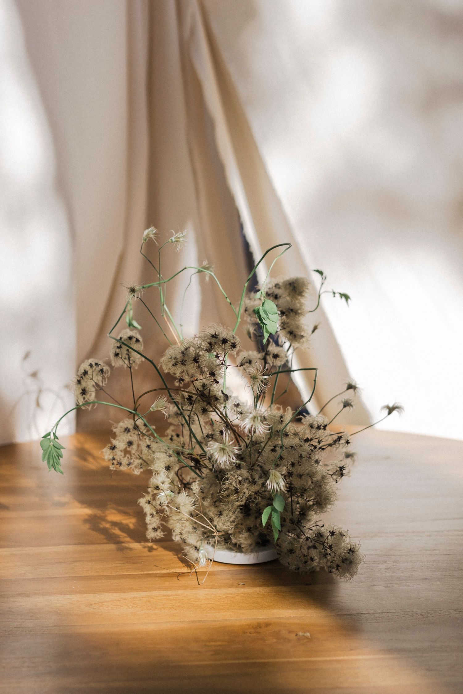 Delicate dried floral arrangements cast shadows on a wooden surface.