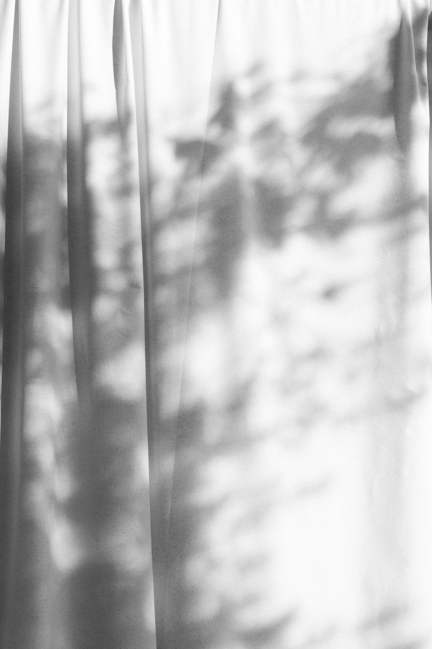Soft white curtains create a dreamy atmosphere with natural light filtering through.