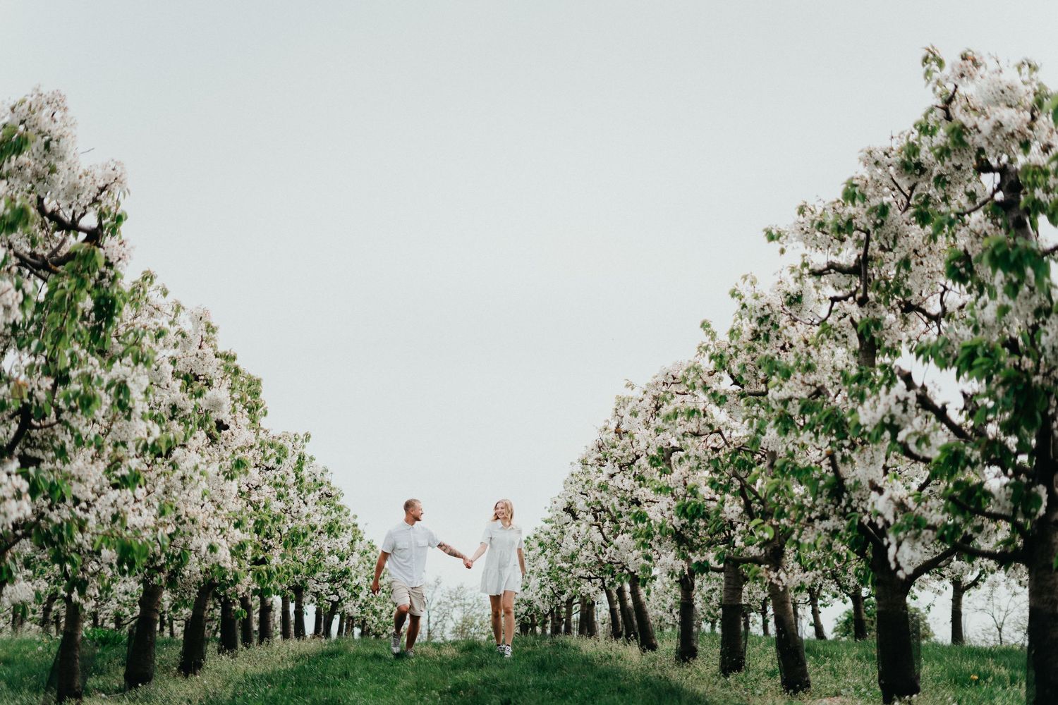 Joyful couple running through rows of blooming white trees holding hands.