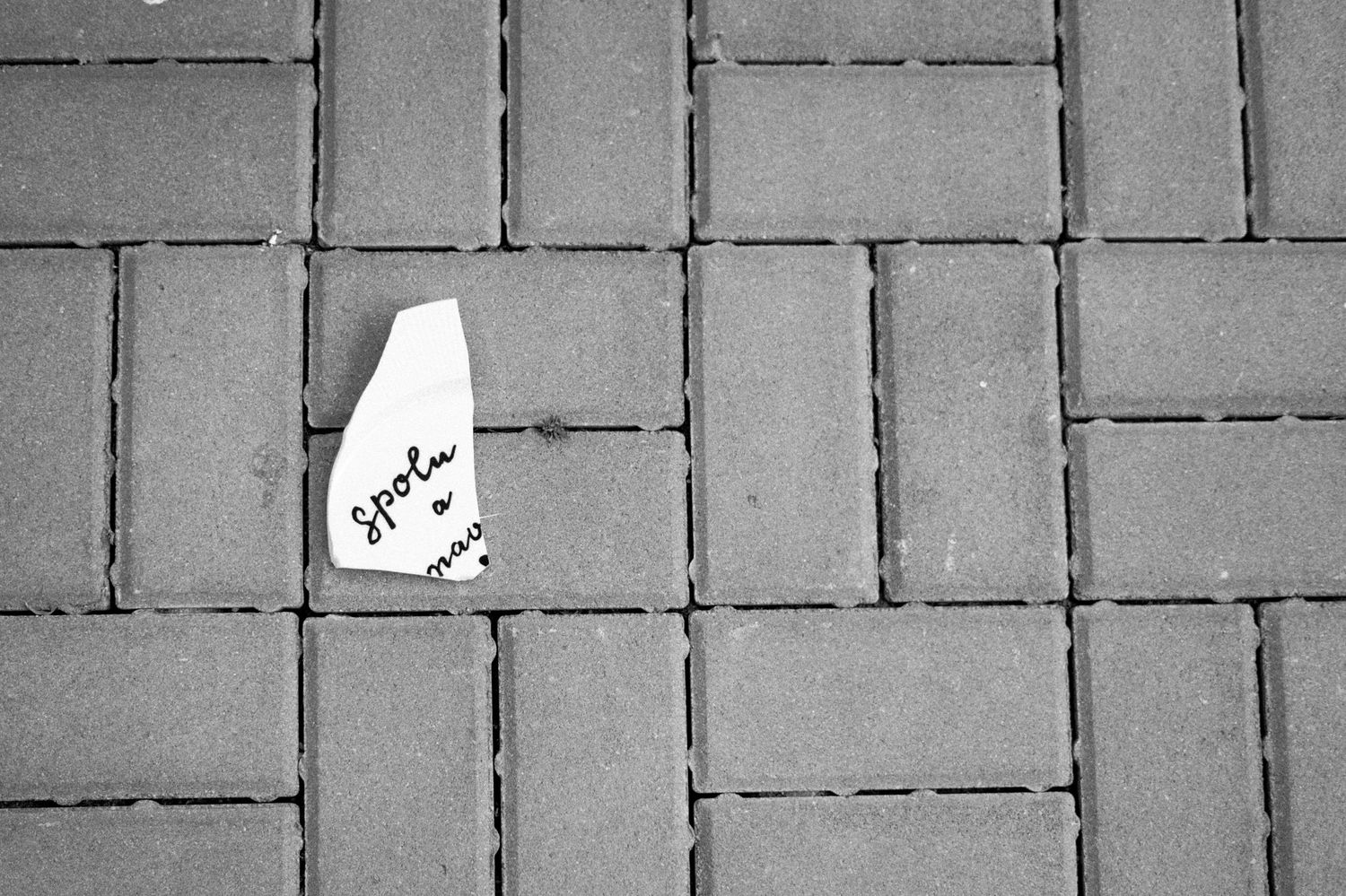 Black and white pattern of rectangular and square concrete paving stones arranged in a geometric layout.