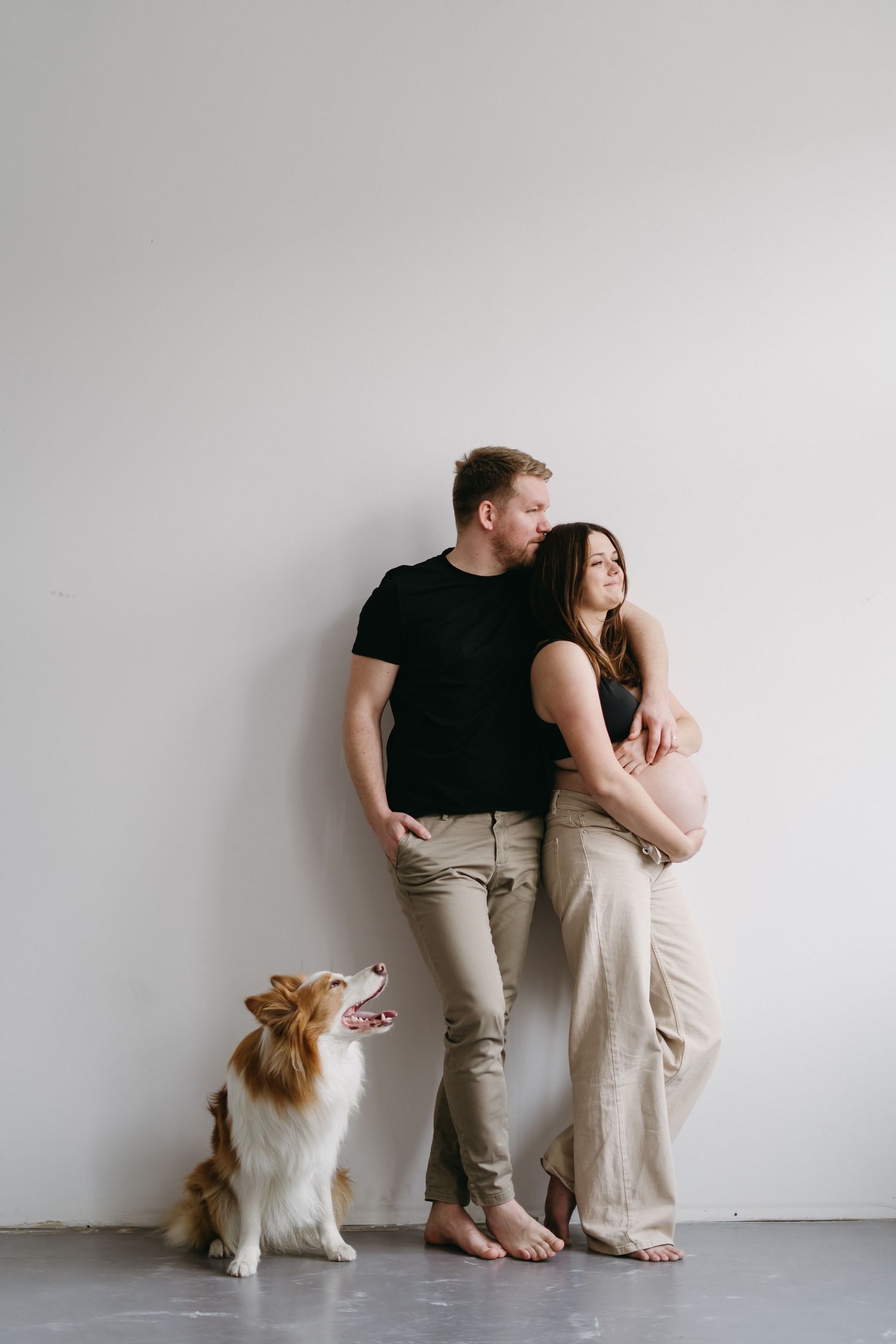 A maternity photo with a couple and their collie dog against a minimalist white wall.