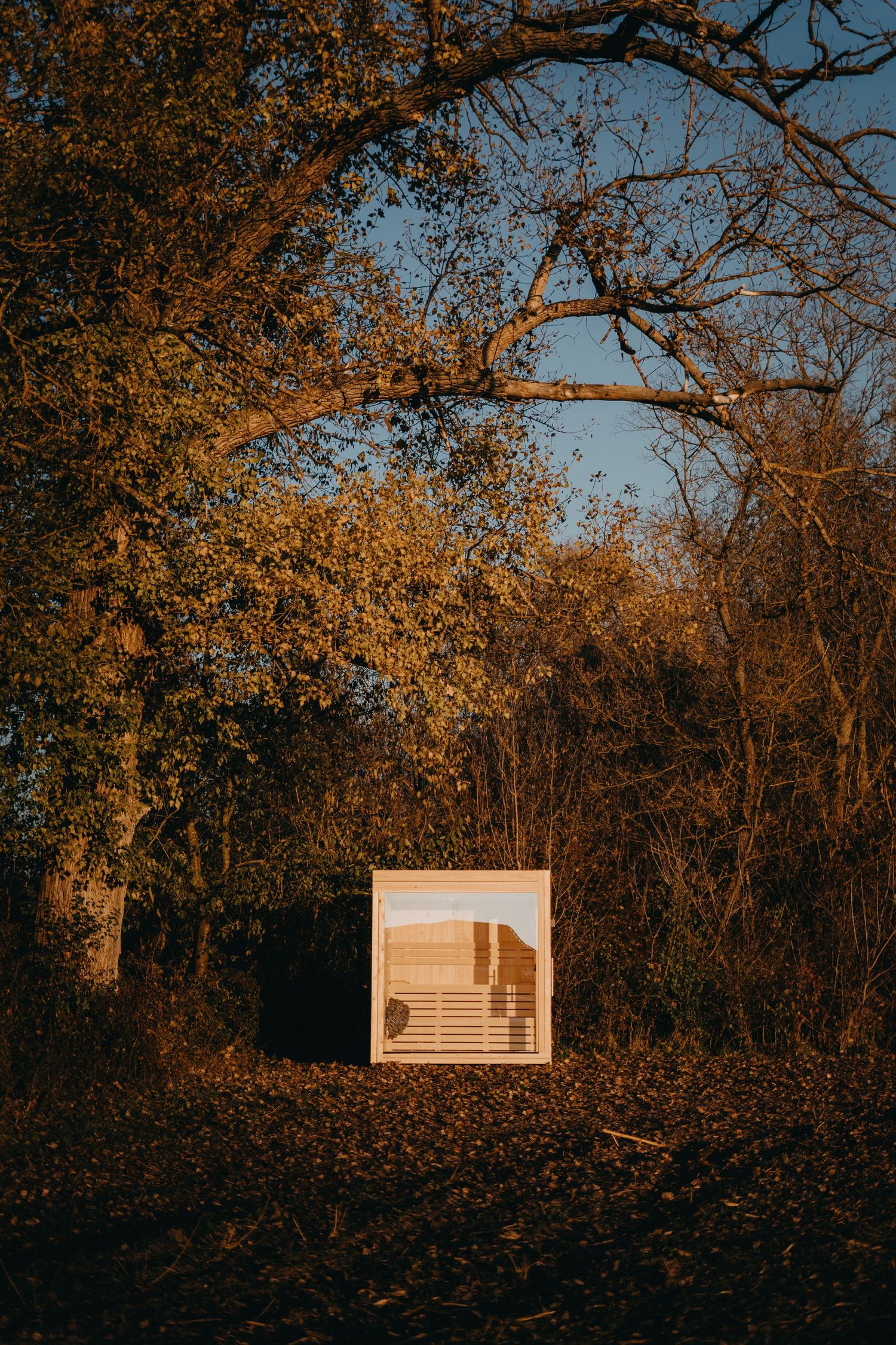A minimalist white cube structure nestled among autumn trees glows warmly at dusk in a forest setting.