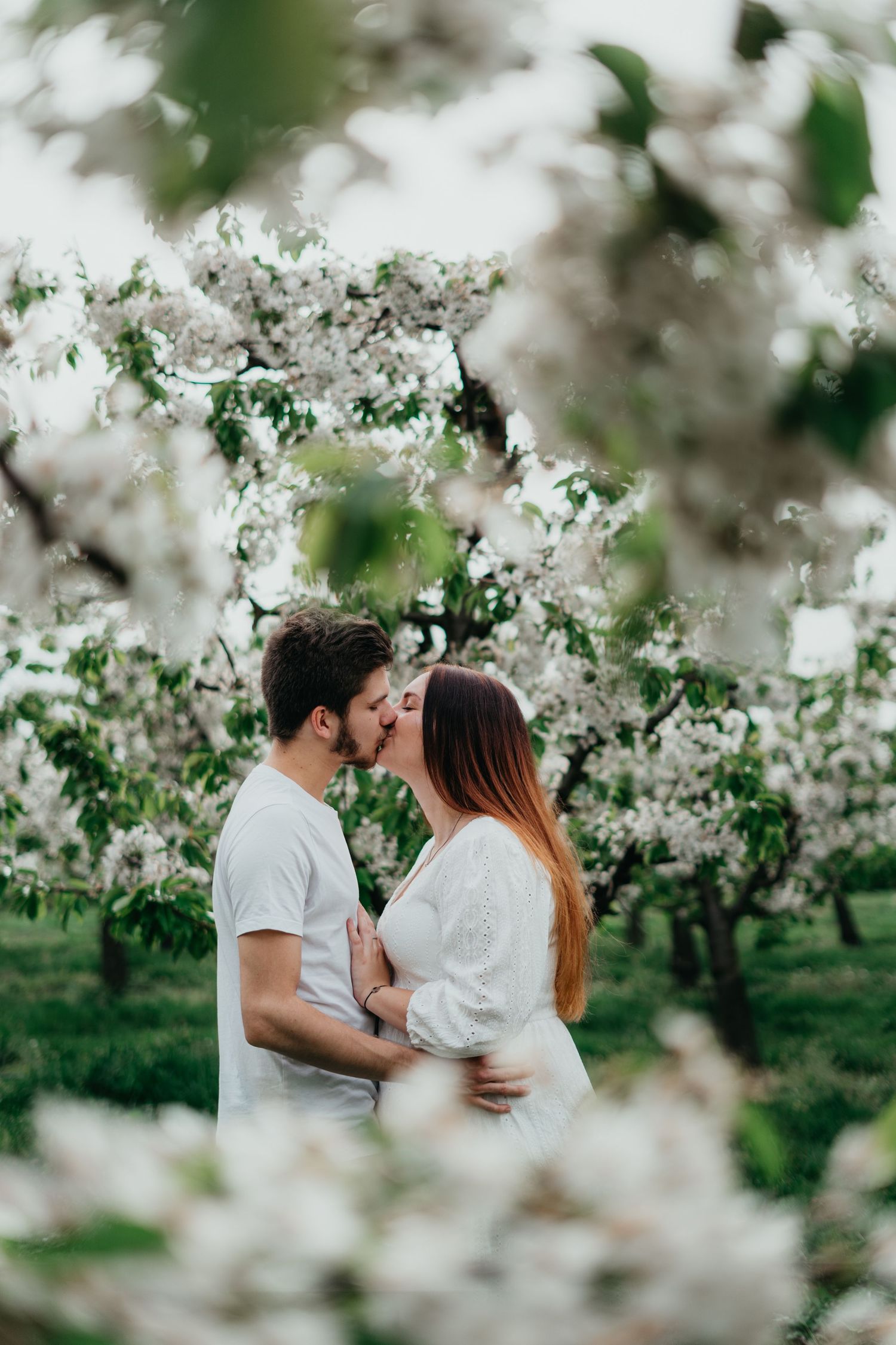 A romantic moment captured in a blooming spring orchard with white apple blossoms framing the tender scene.