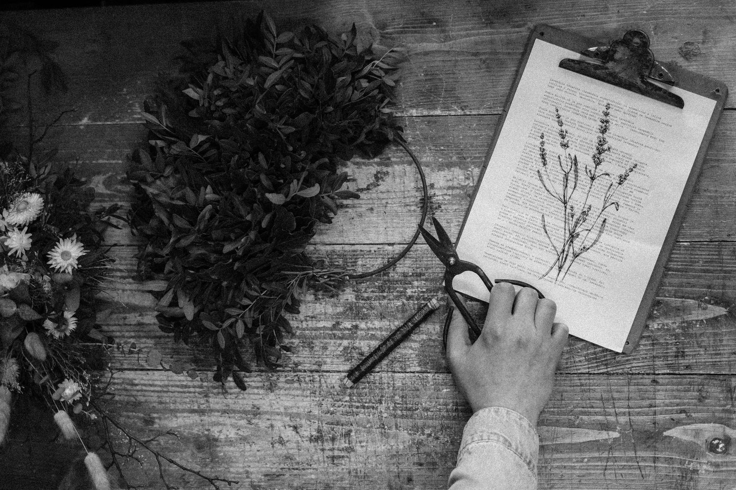 A hand sketches a botanical illustration on a clipboard while surrounded by fresh herbs and flowers on a rustic wooden surface.