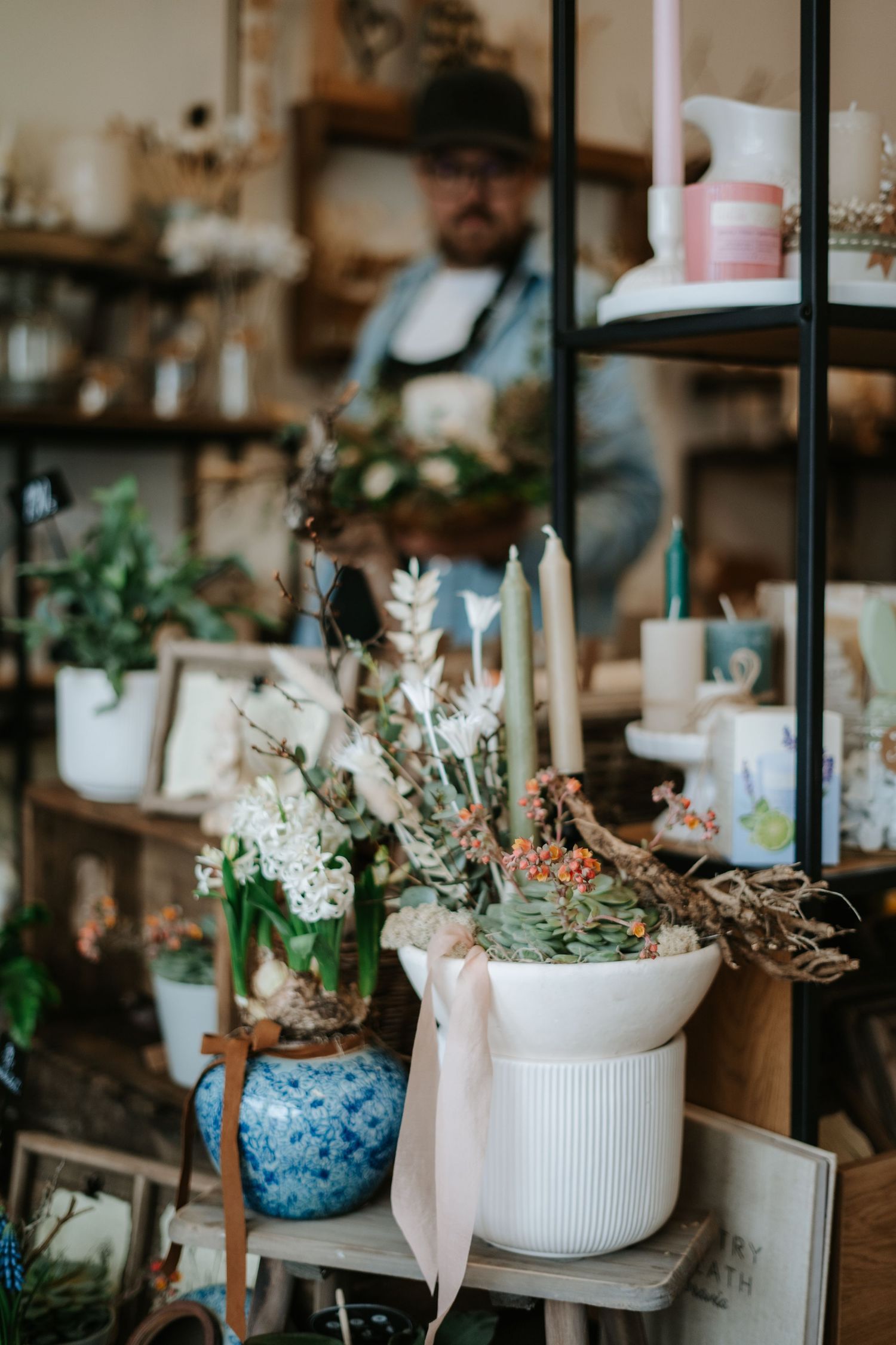 Potted plants and decorative items displayed on shelves in a cozy home decor shop.