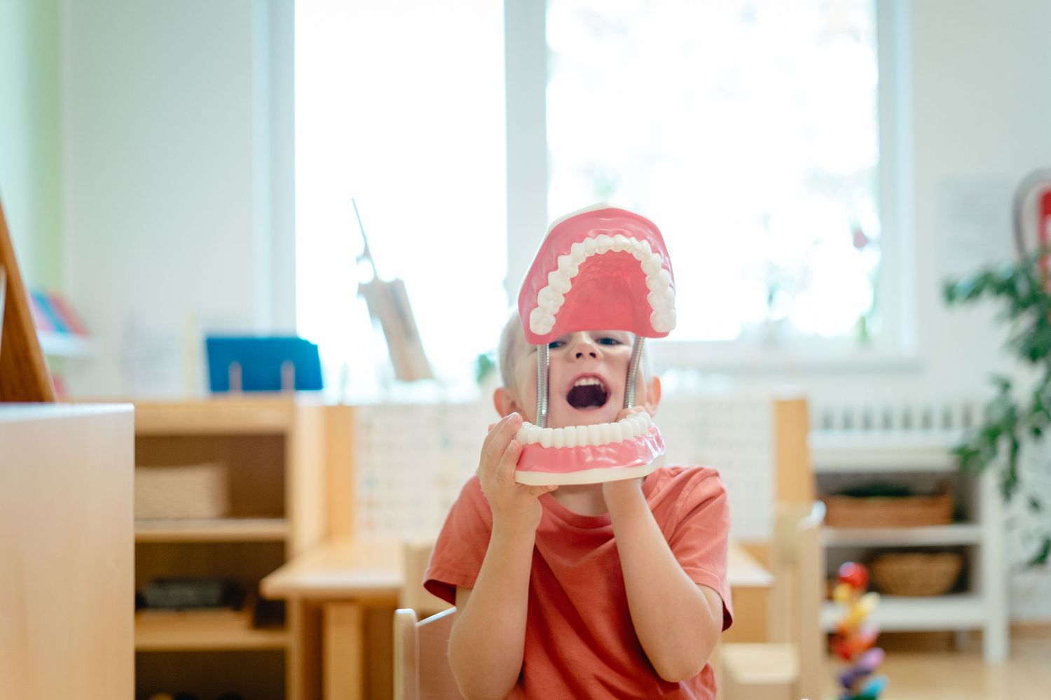 Someone holds up a large dental model while wearing a coral-colored shirt in a bright classroom setting.